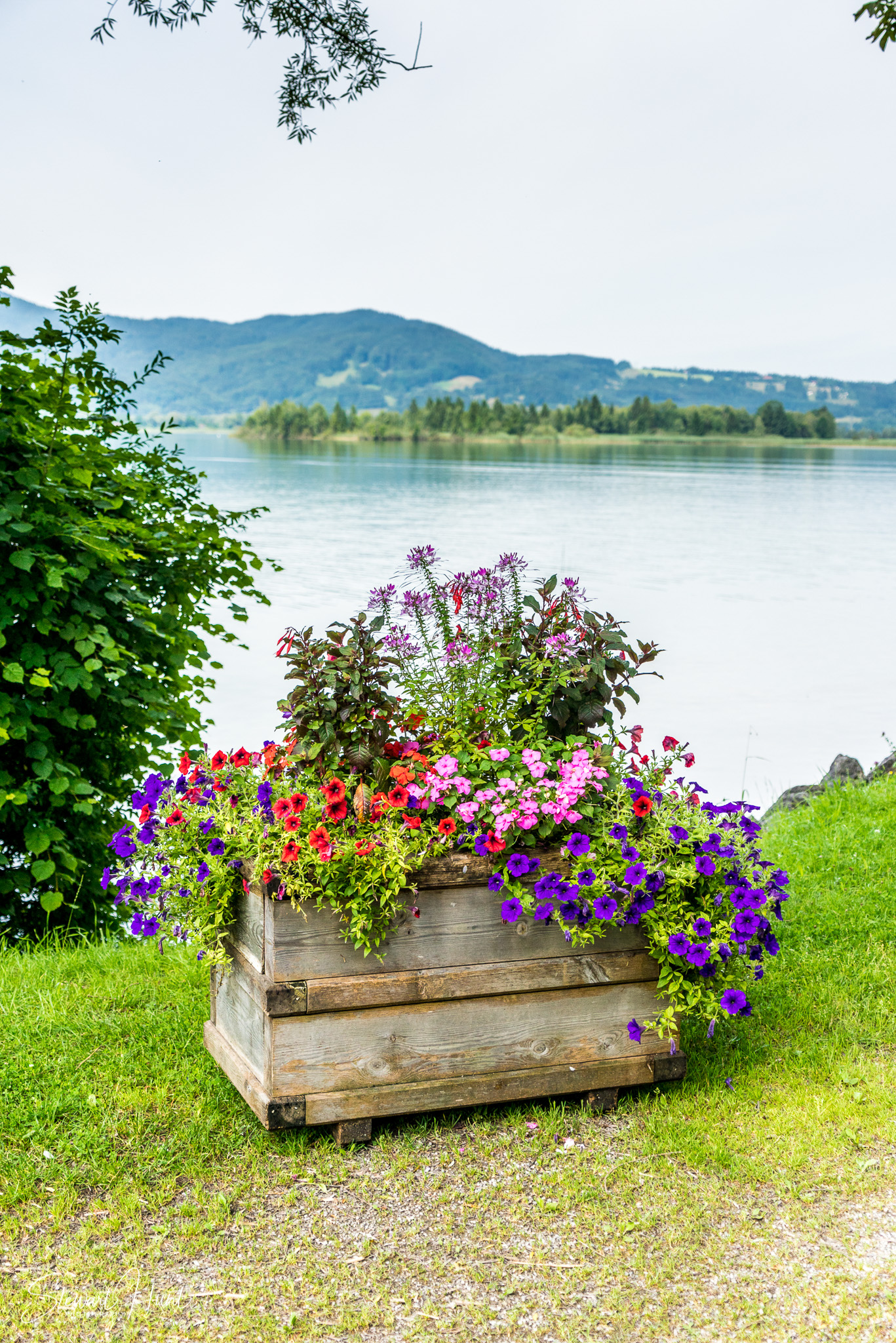 Kochel am See and Walcehsee and Walgau 03829