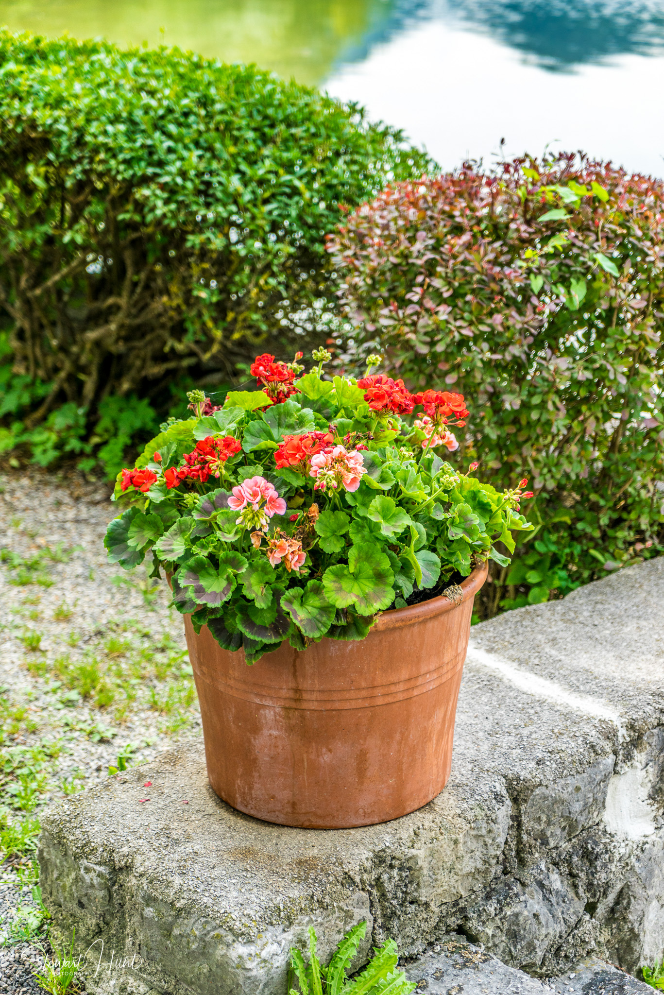 Kochel am See and Walcehsee and Walgau 03860