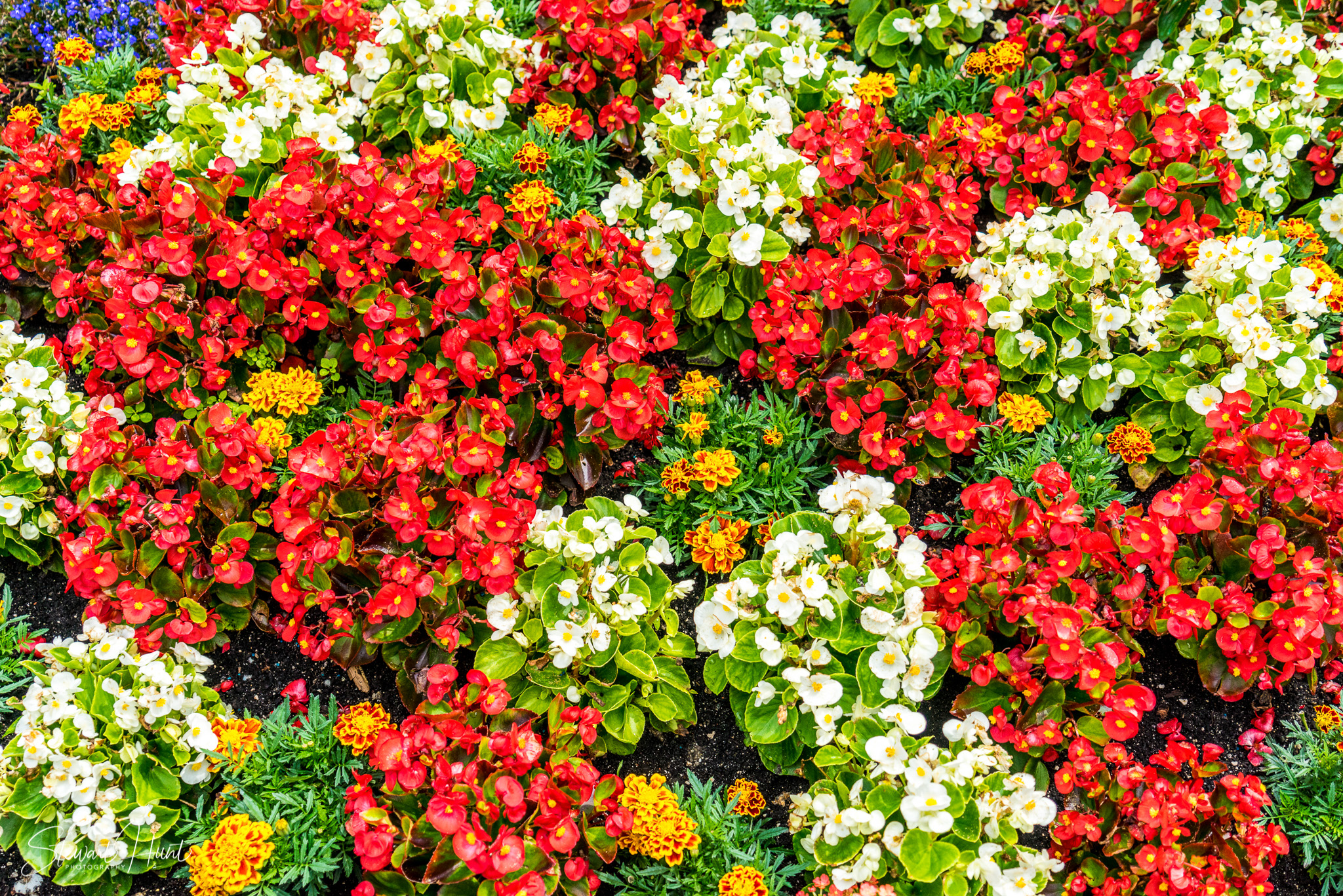 Kochel am See and Walcehsee and Walgau 03870