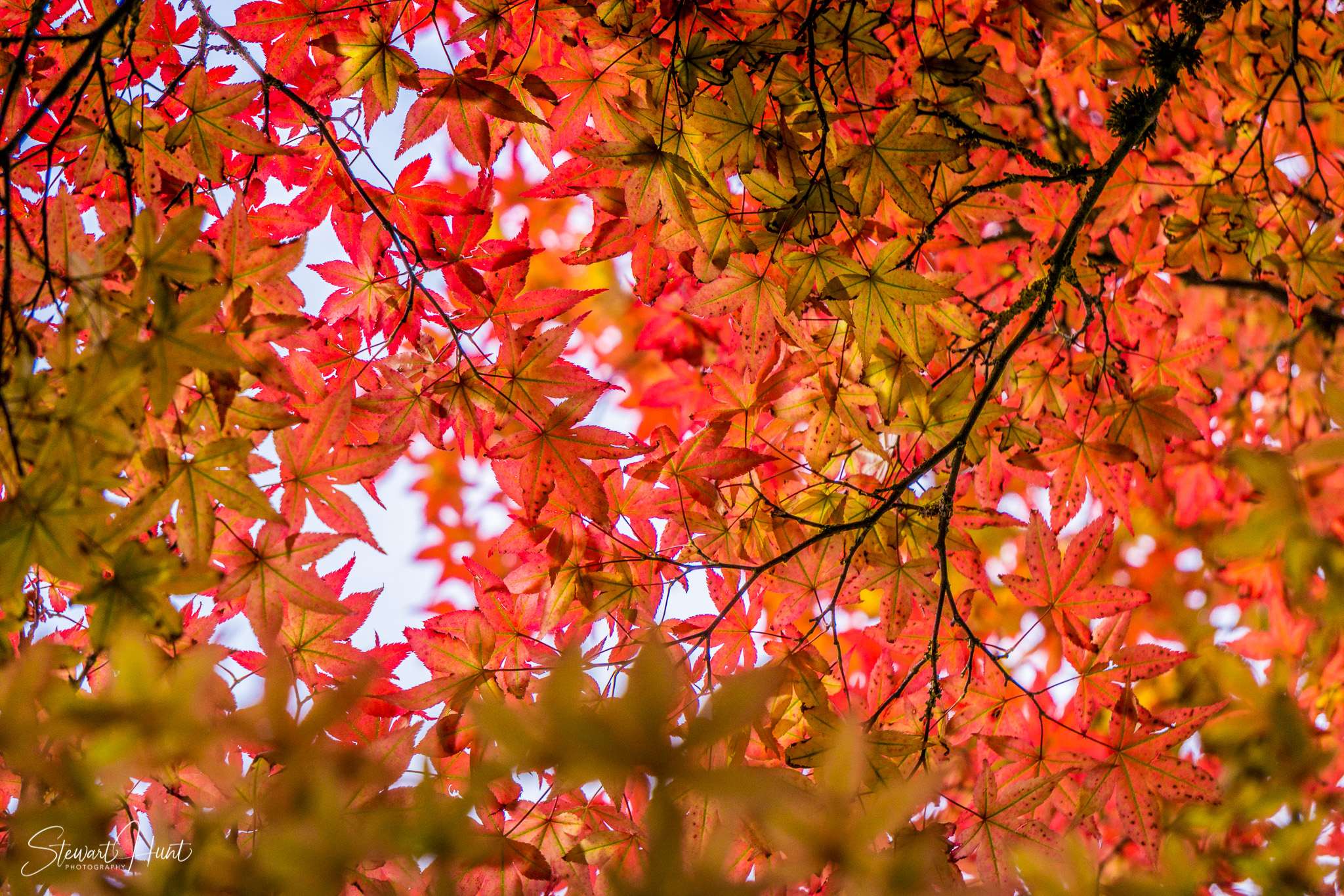 Neuschwanstein and Fussen 0138