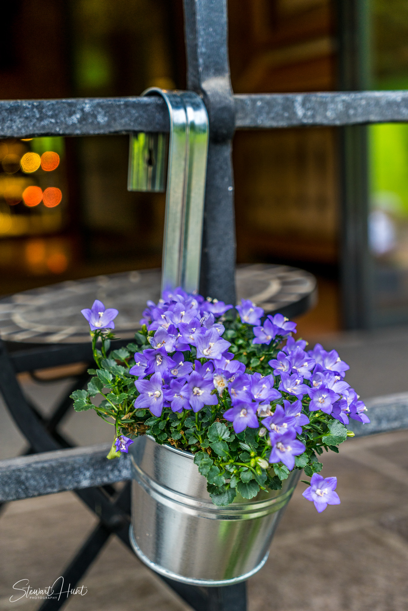 Neuschwanstein and Fussen 04021