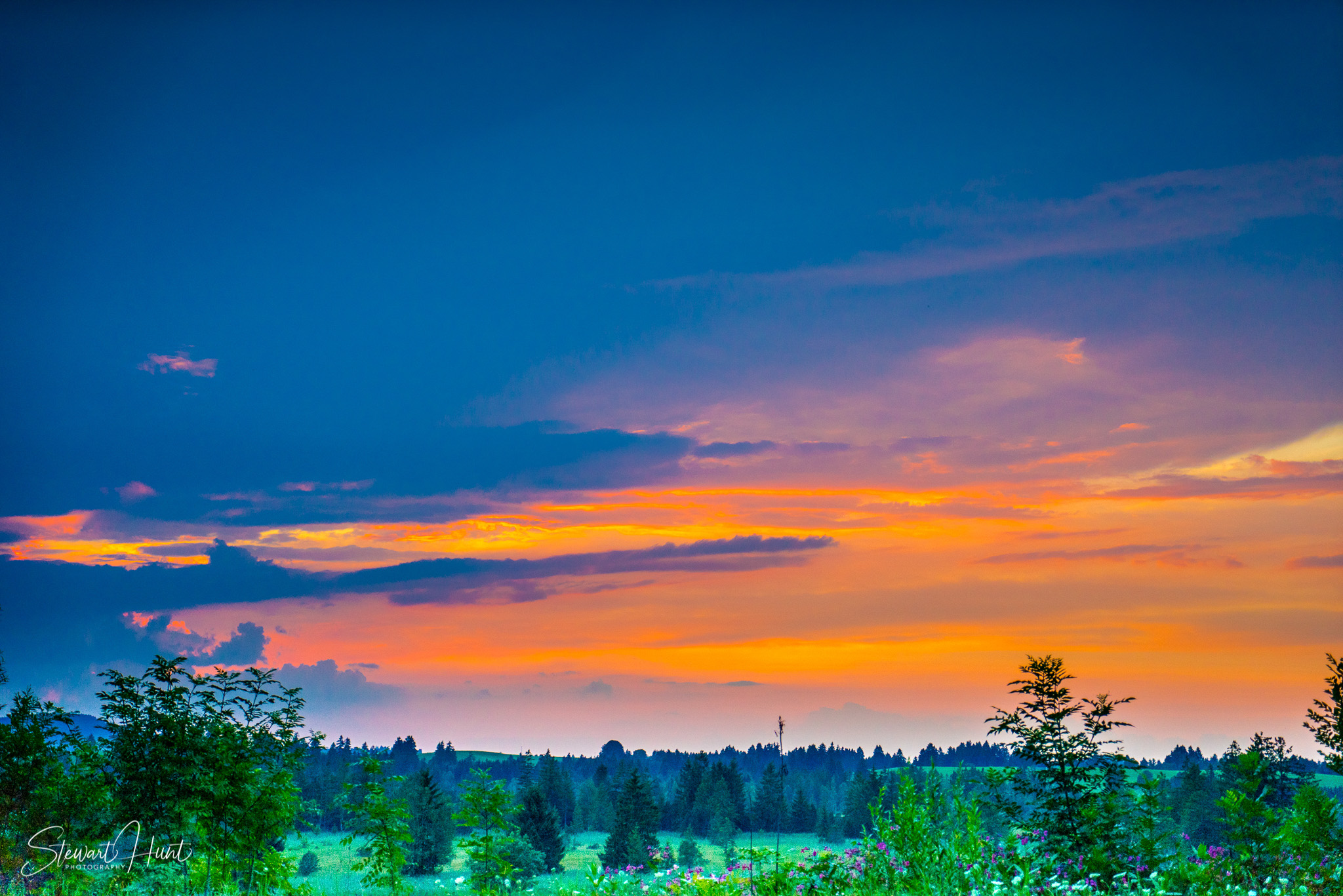 Neuschwanstein and Fussen 04105