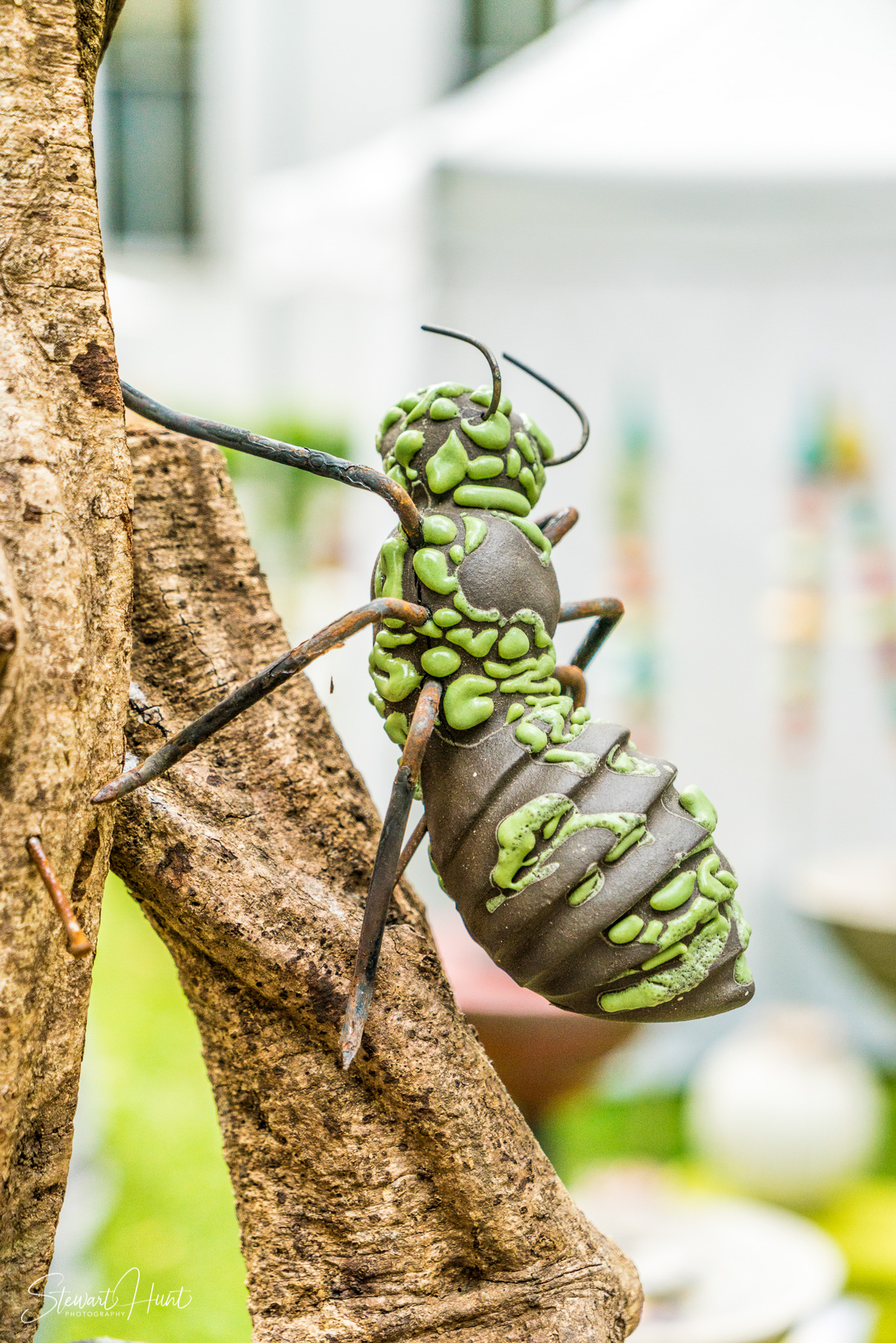 Linderhof and Landsberg am Lech 04333