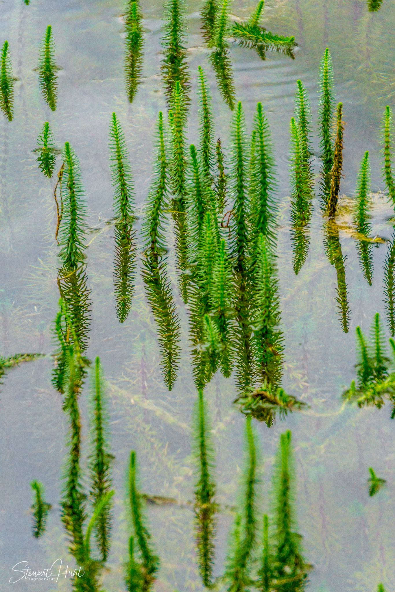 Hintersee and Berchtesgaden and Rossfeldstrasse 1279