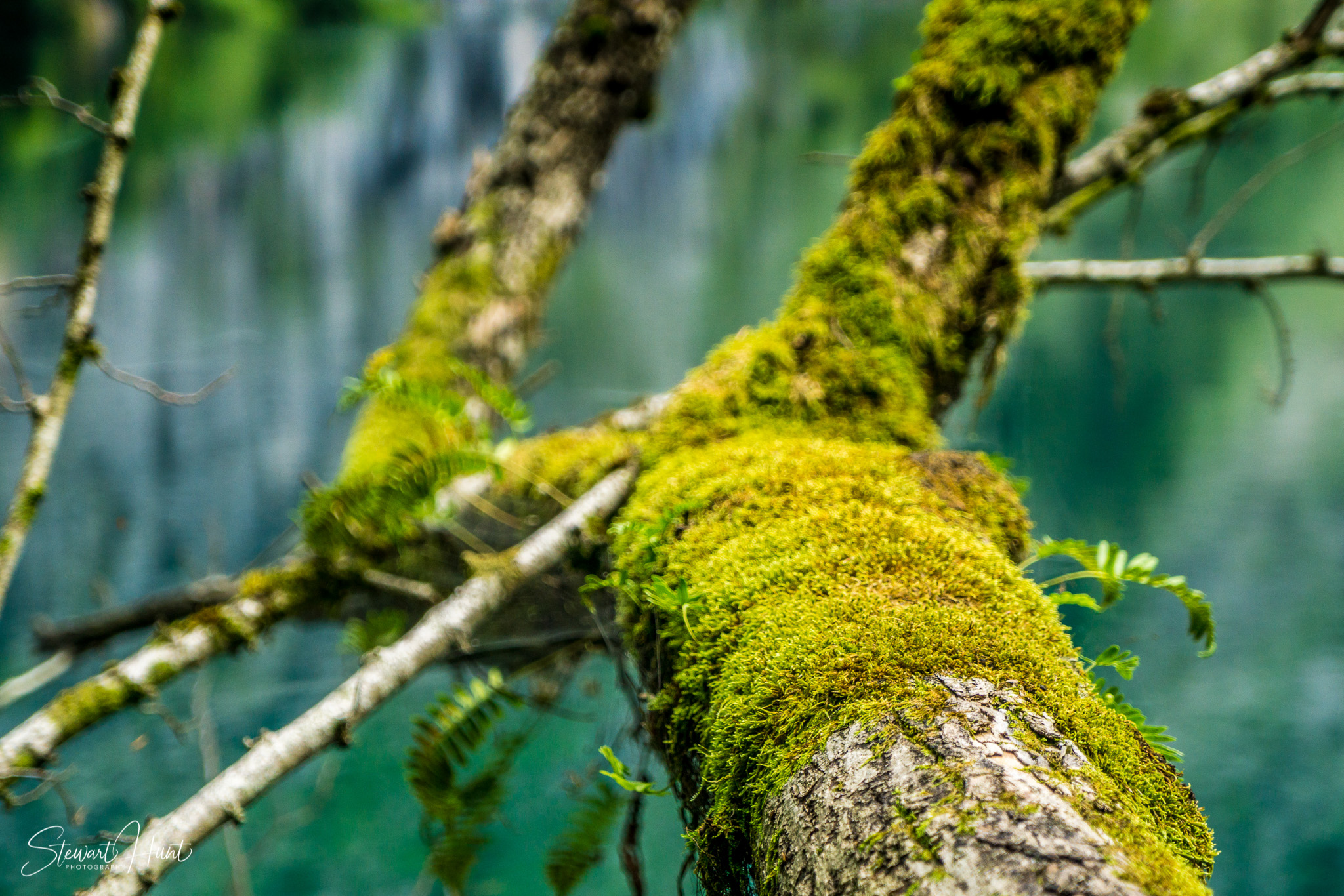 Konigssee and Obersee 1866
