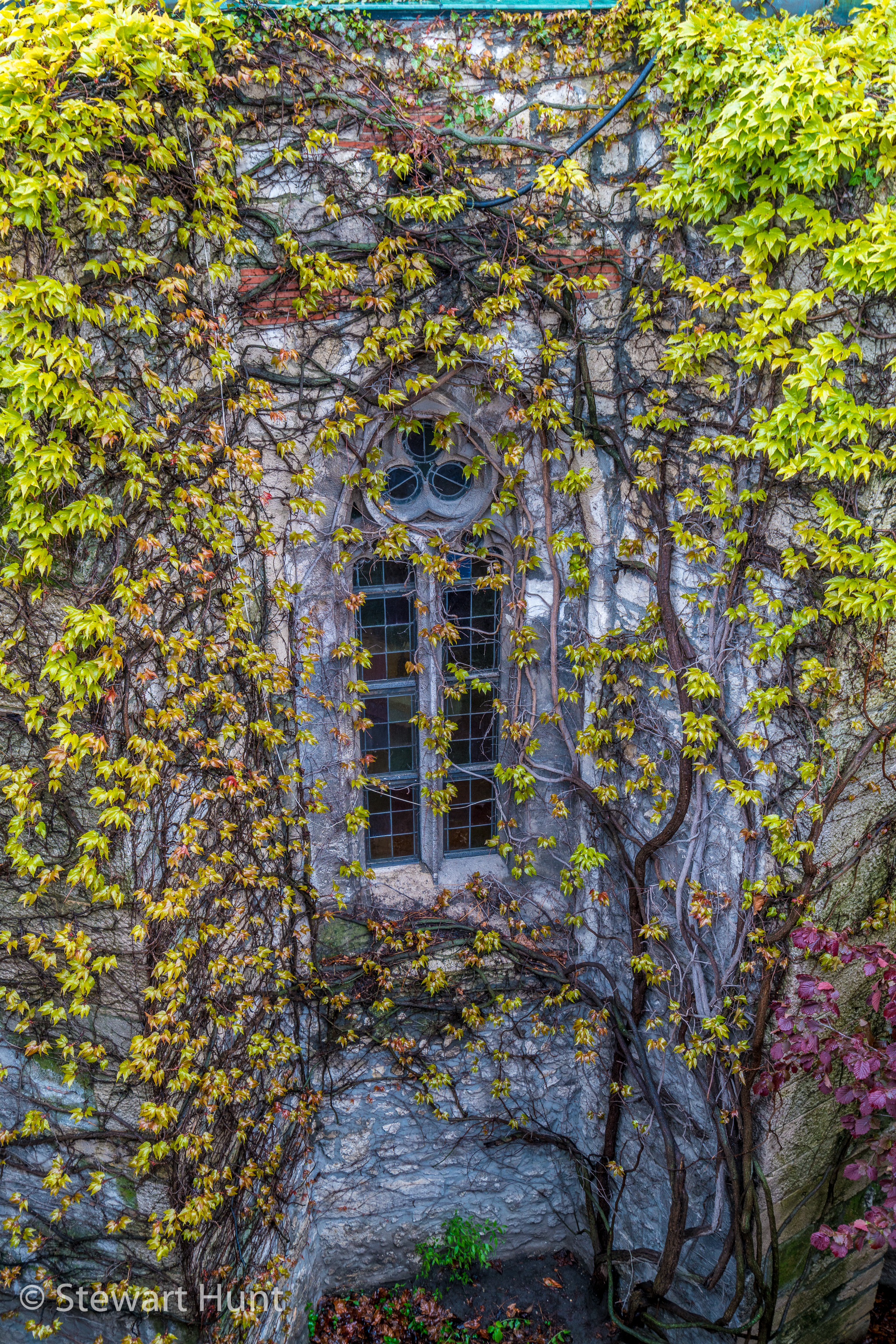 Budapest 2017 A7RII 8288