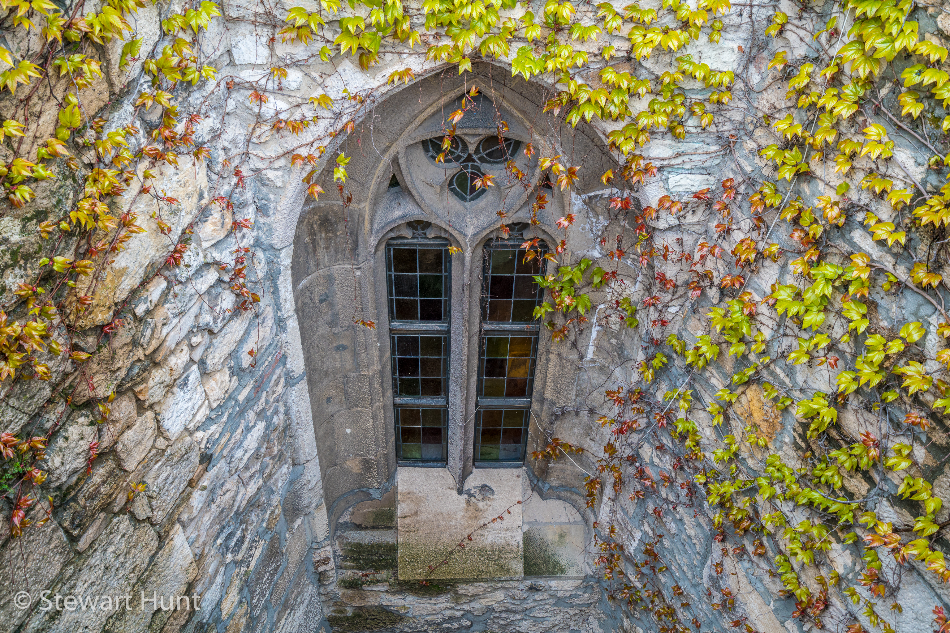 Budapest 2017 A7RII 8293