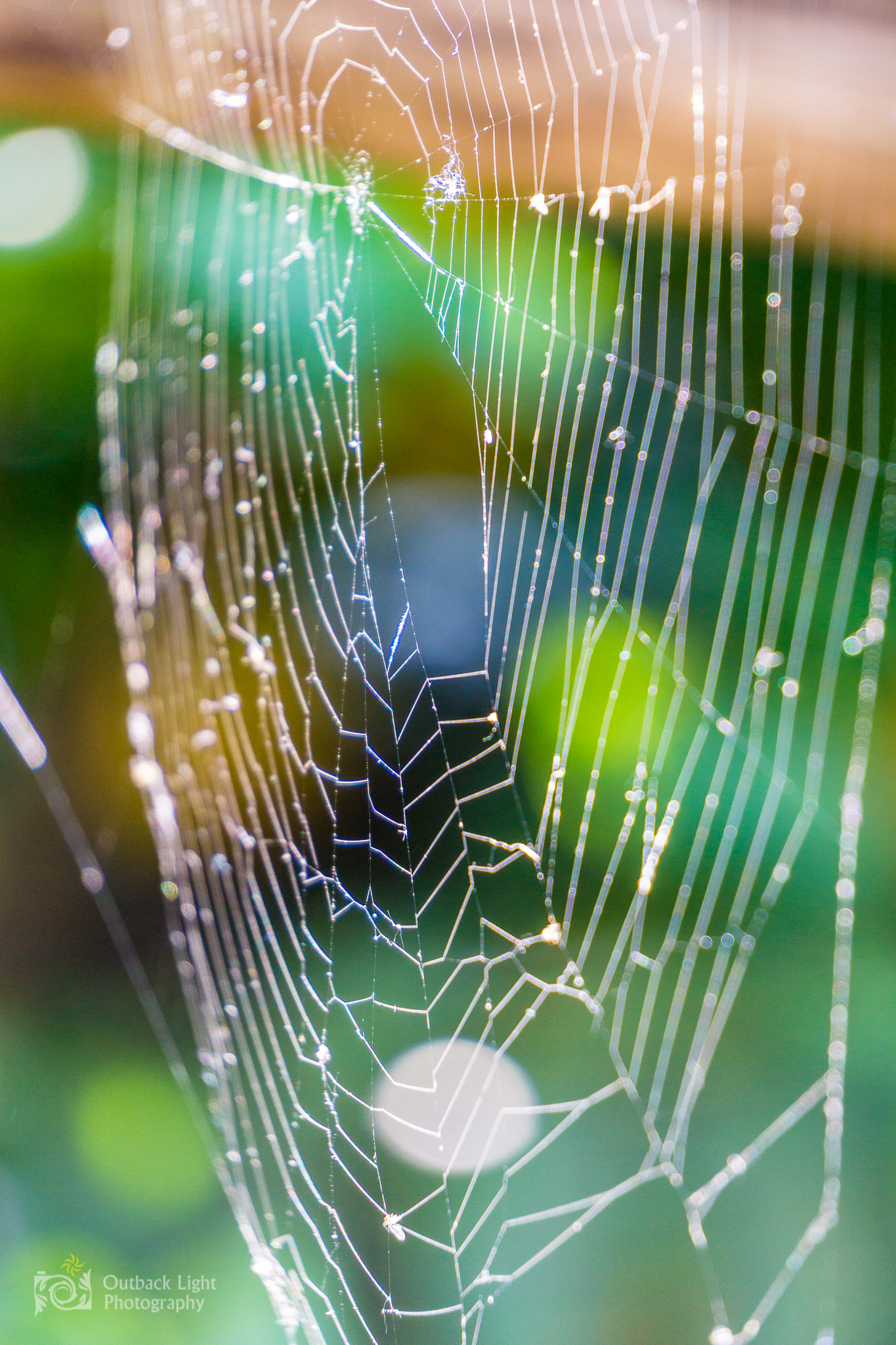 Italy 2016 A6000 6048