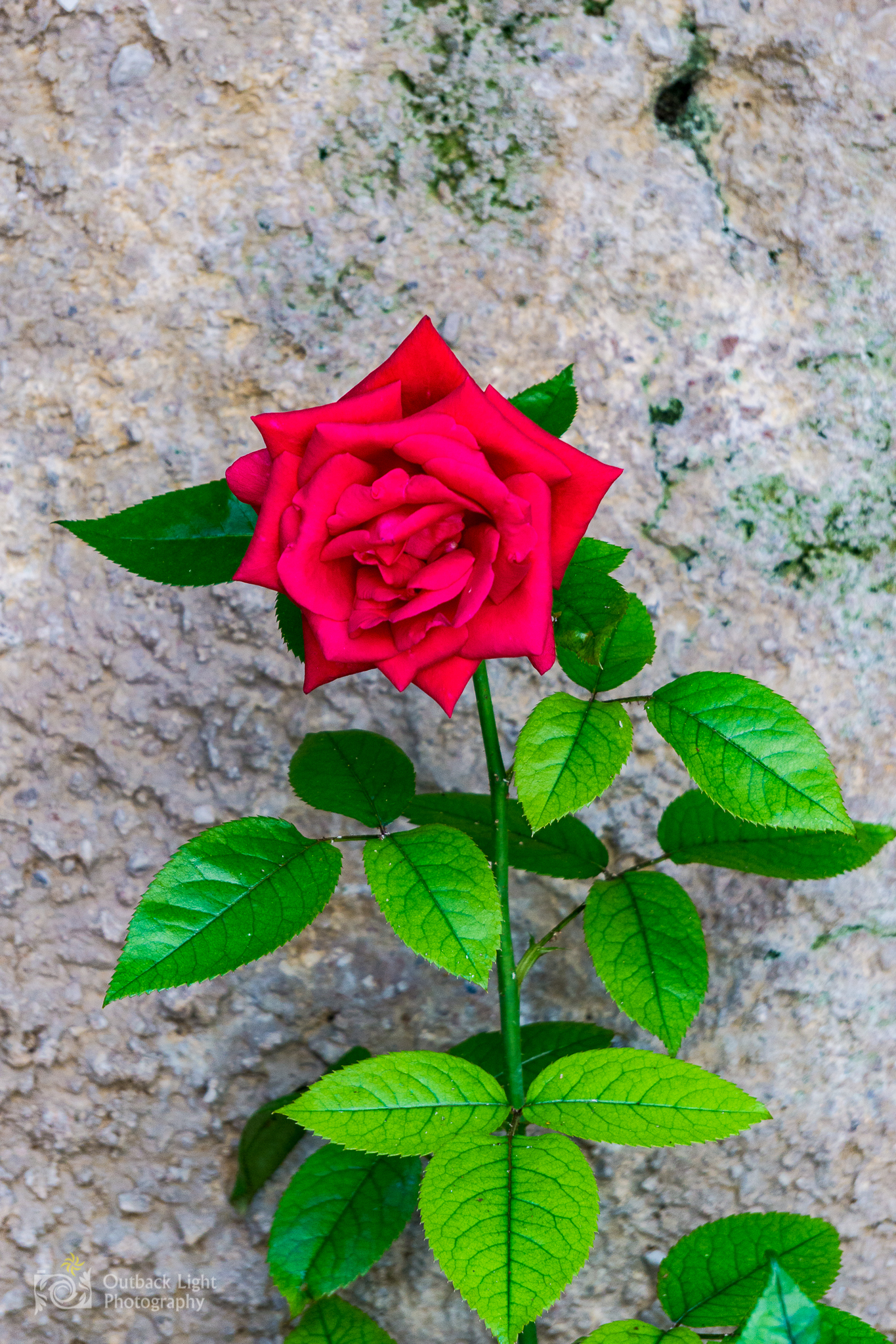 Italy 2016 A6000 6092