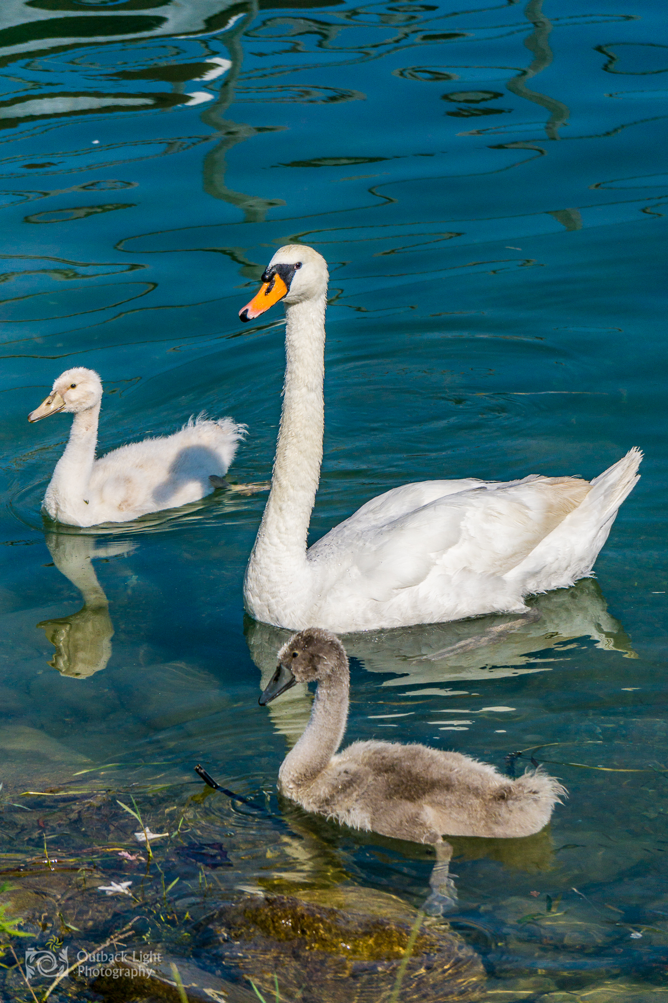 Italy 2016 A6000 6298