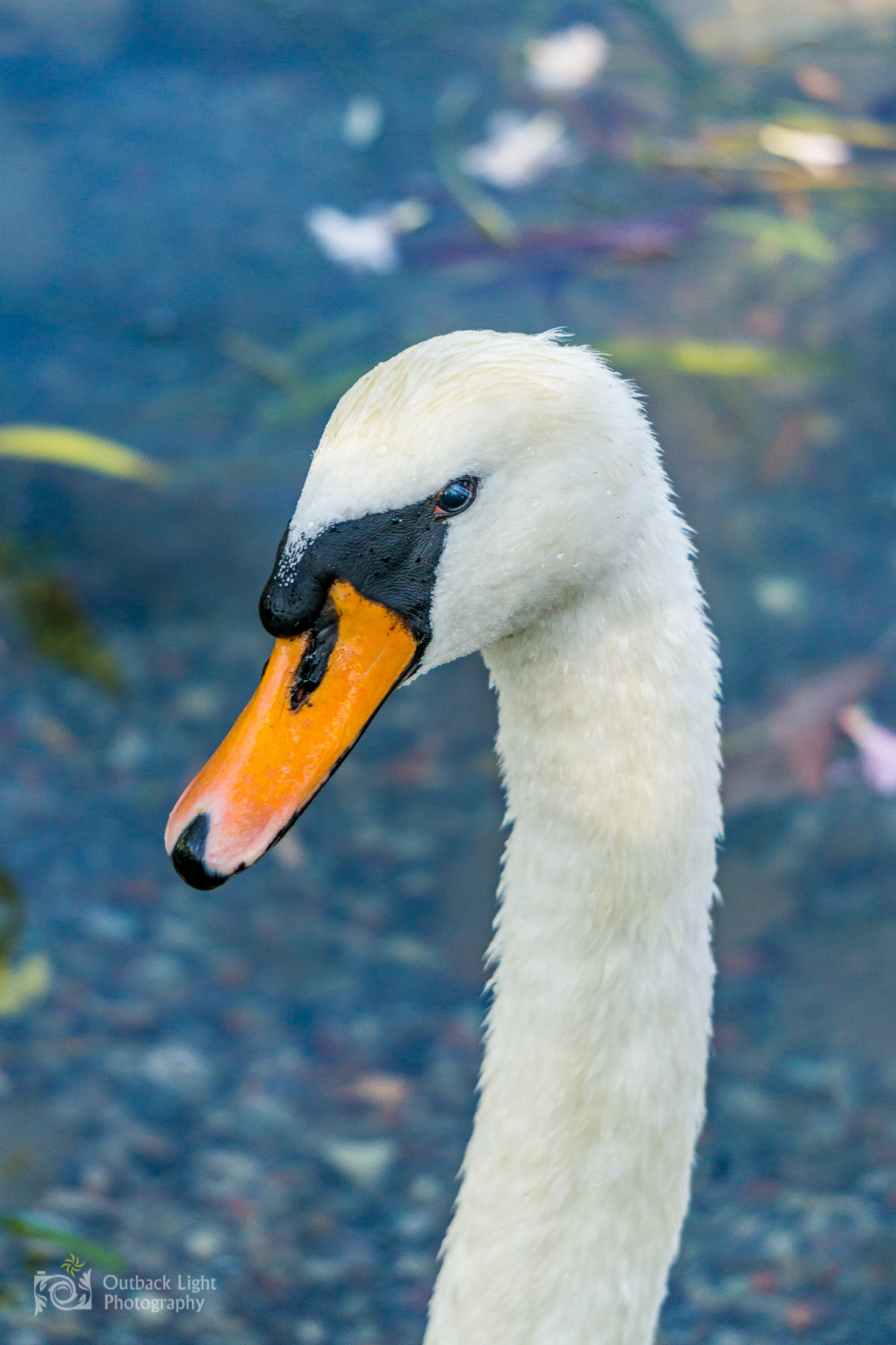 Italy 2016 A6000 6305