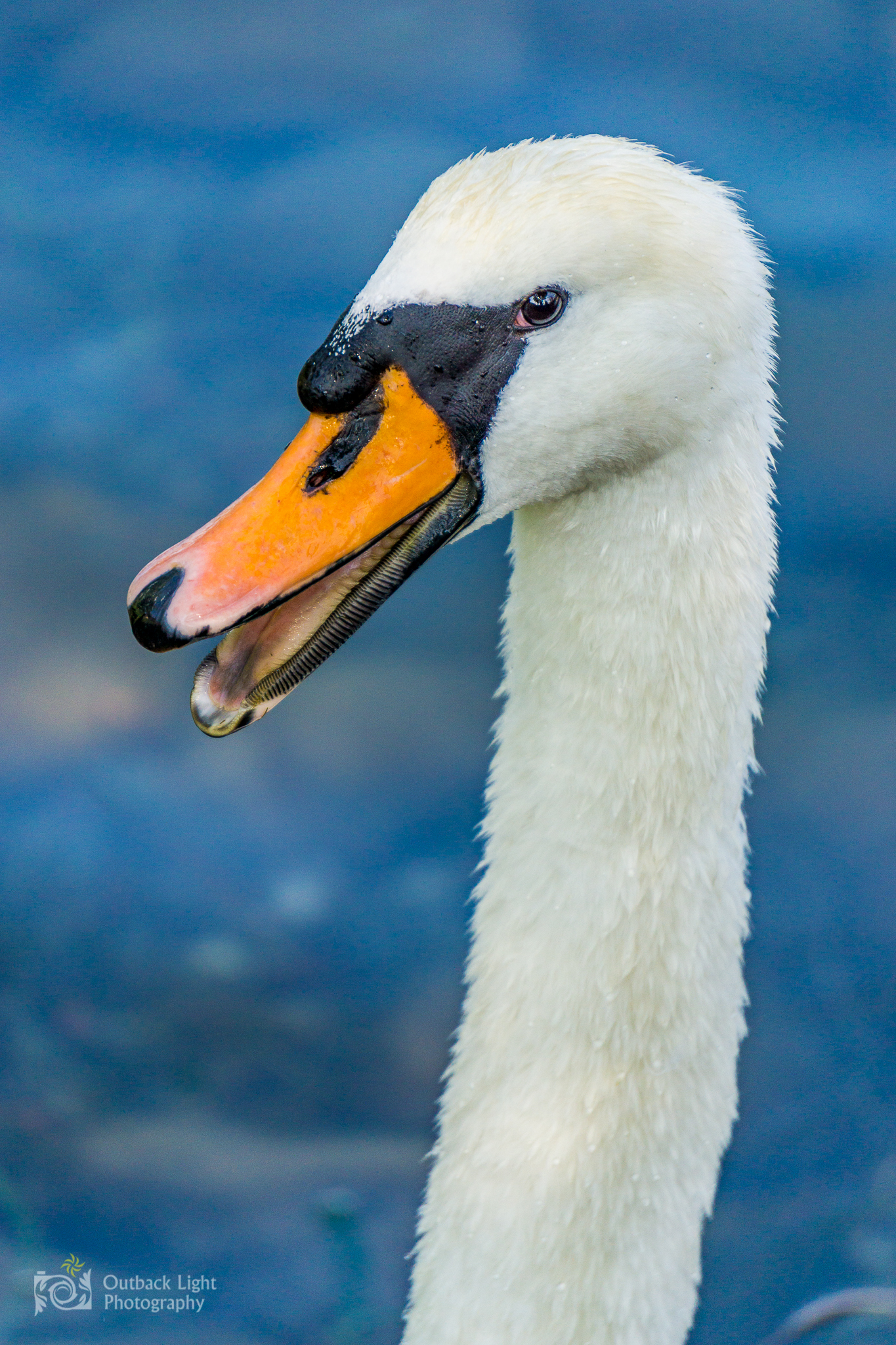 Italy 2016 A6000 6315