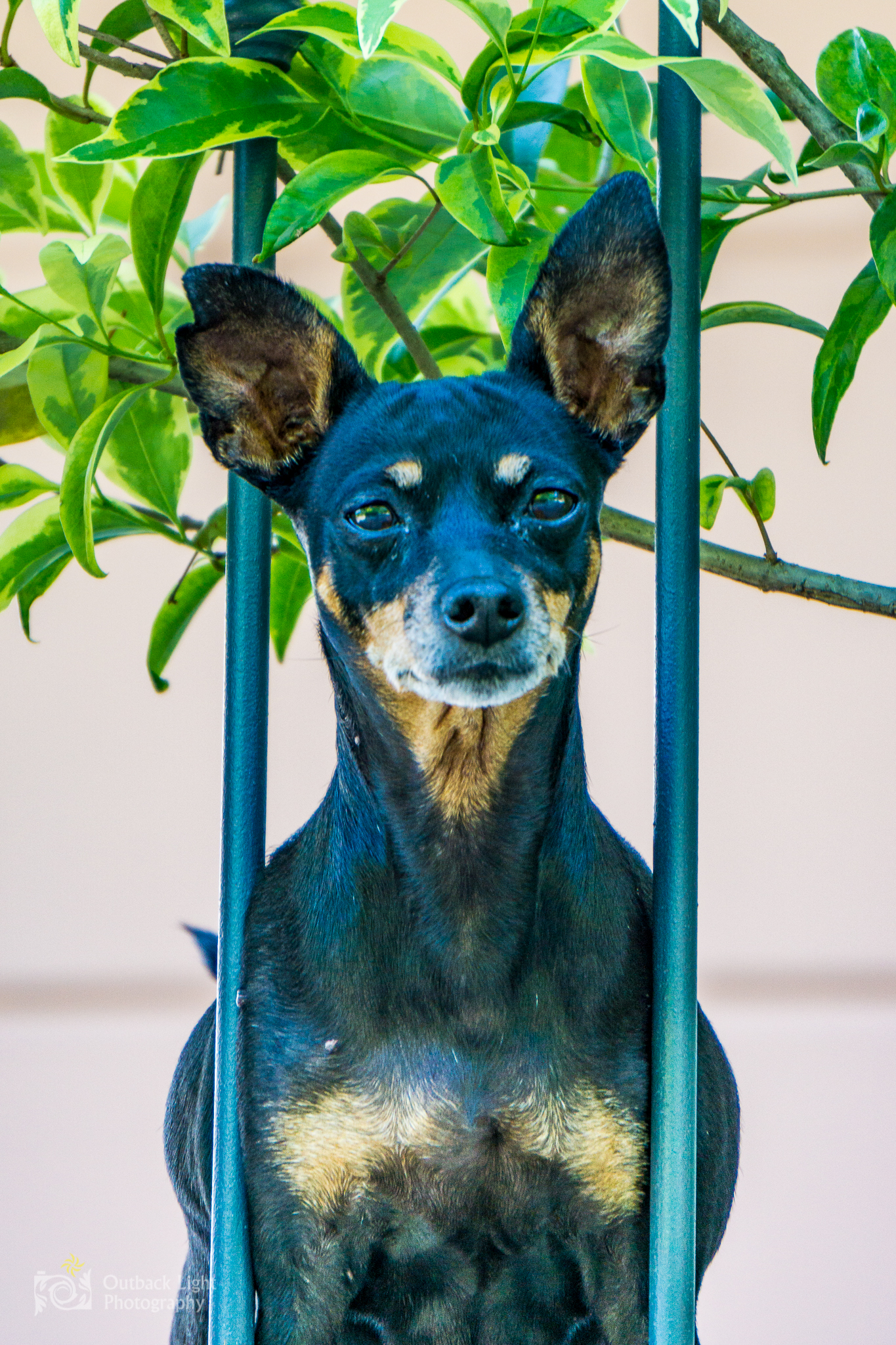 Italy 2016 A6000 6321