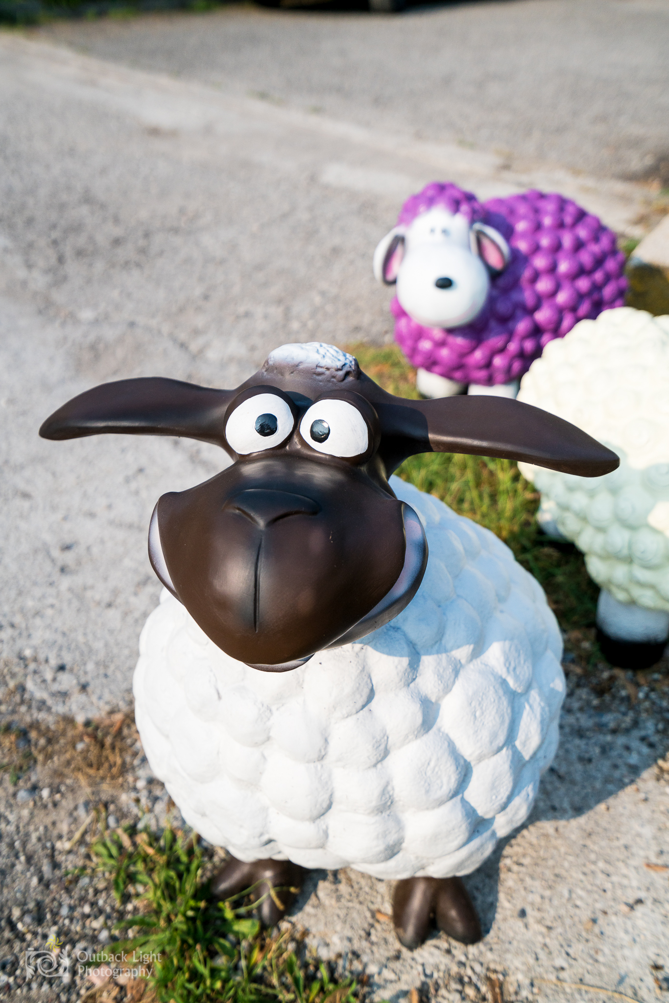 Italy 2016 A7RII 3678