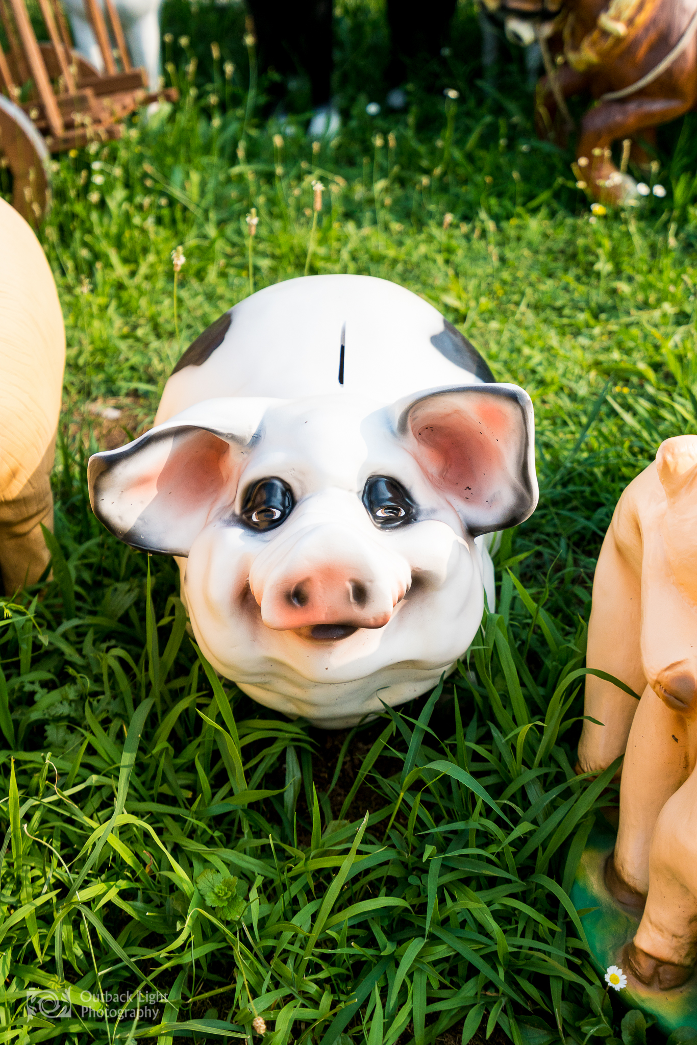 Italy 2016 A7RII 3688