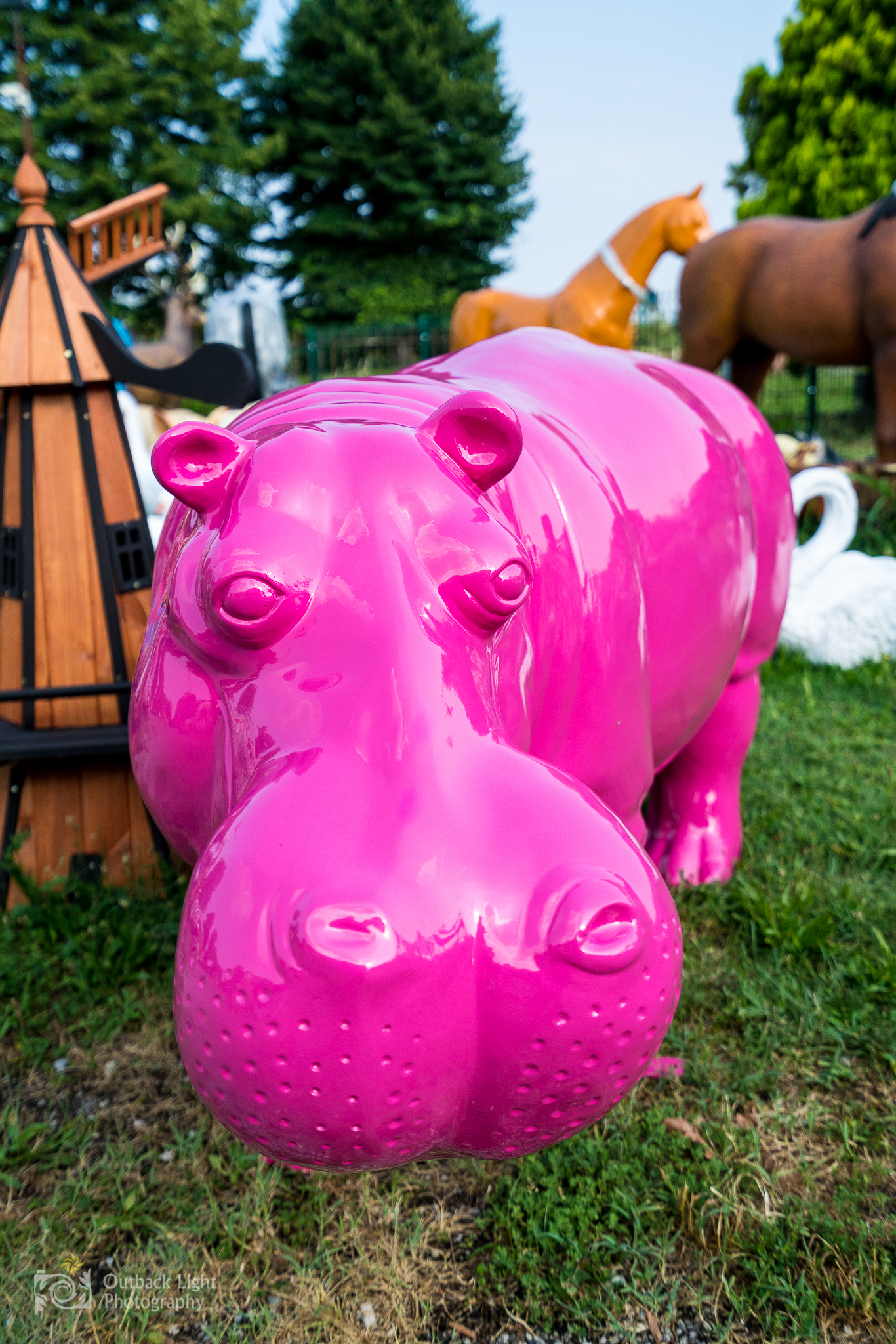 Italy 2016 A7RII 3691