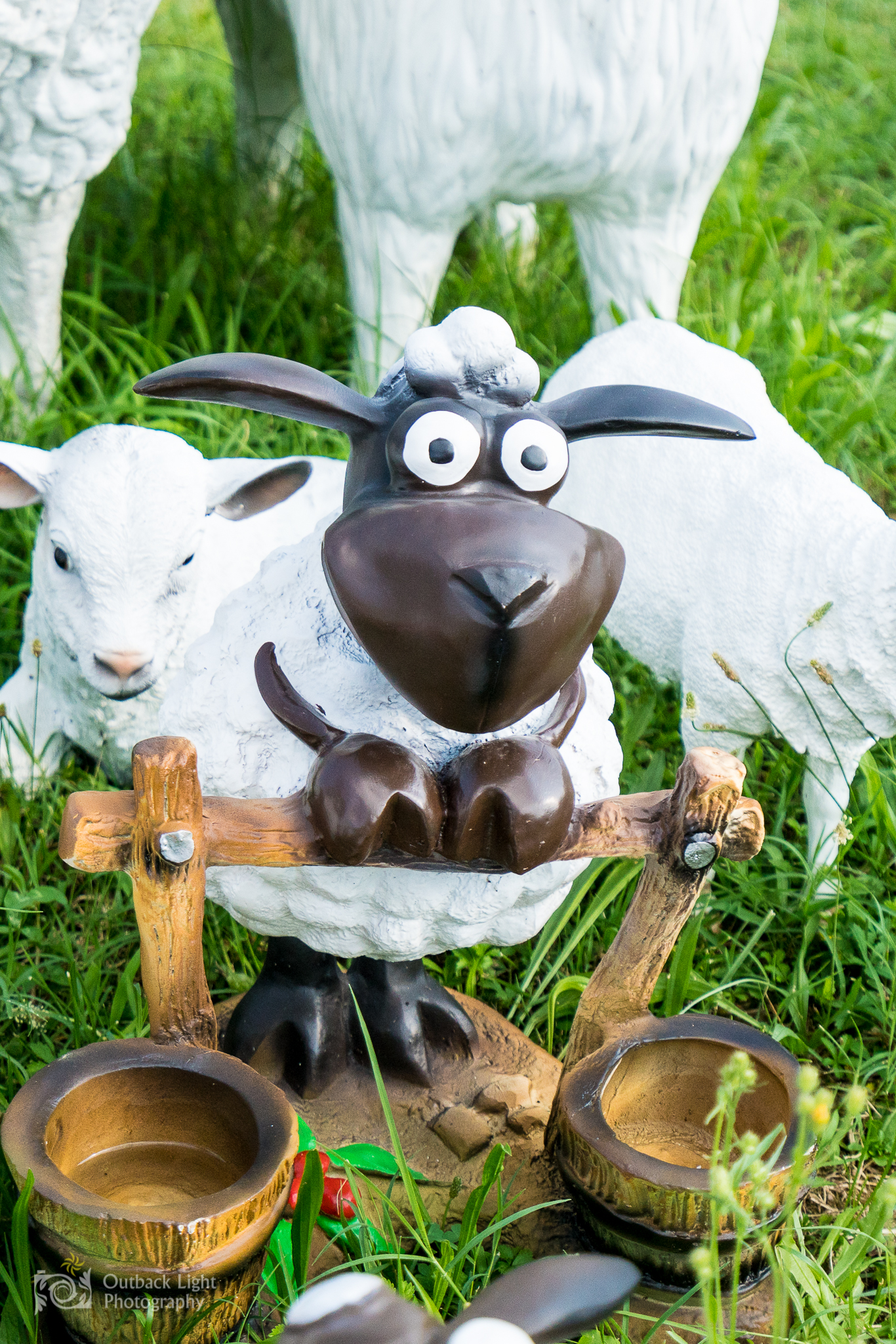 Italy 2016 A7RII 3693