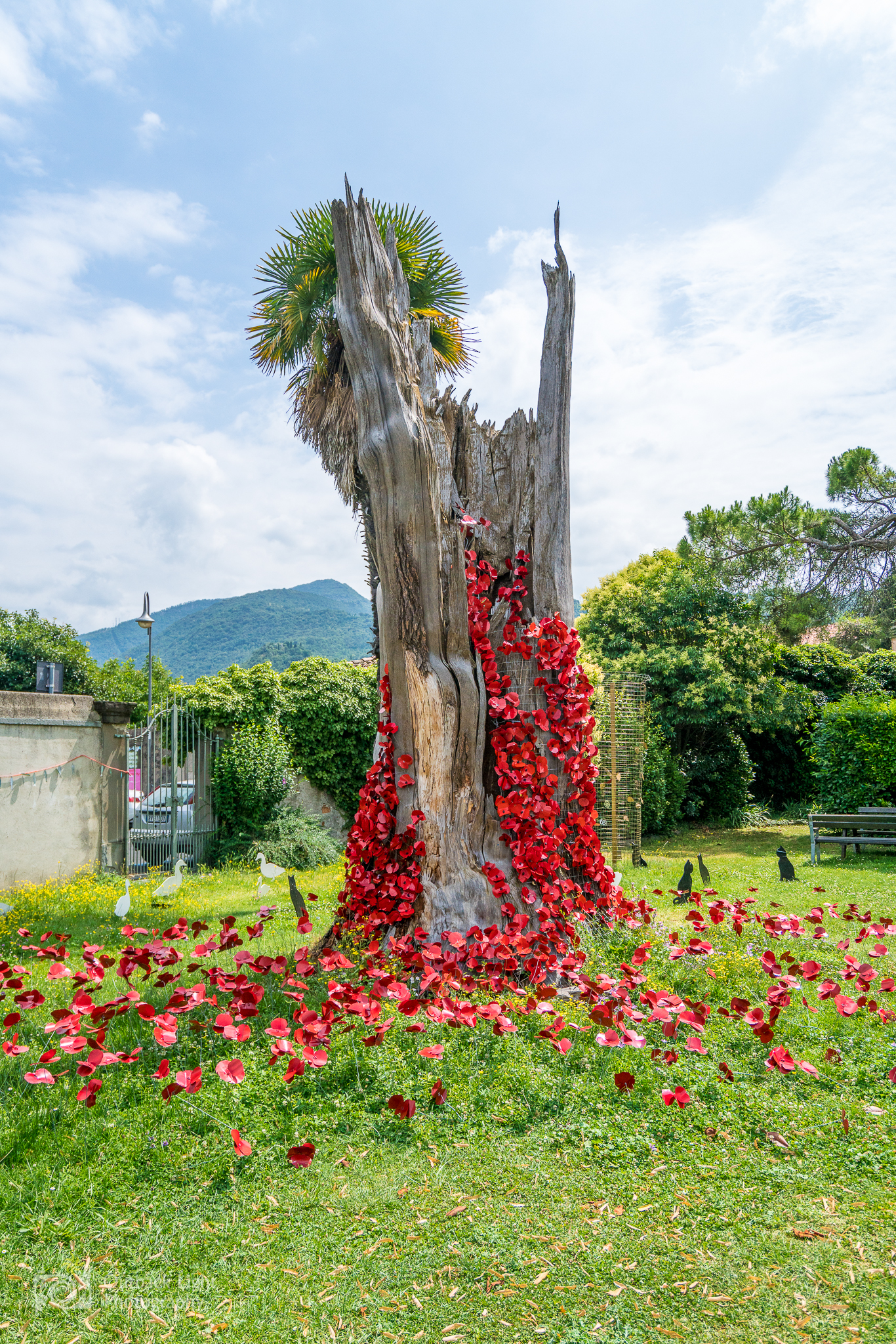 Italy 2016 A7RII 3821