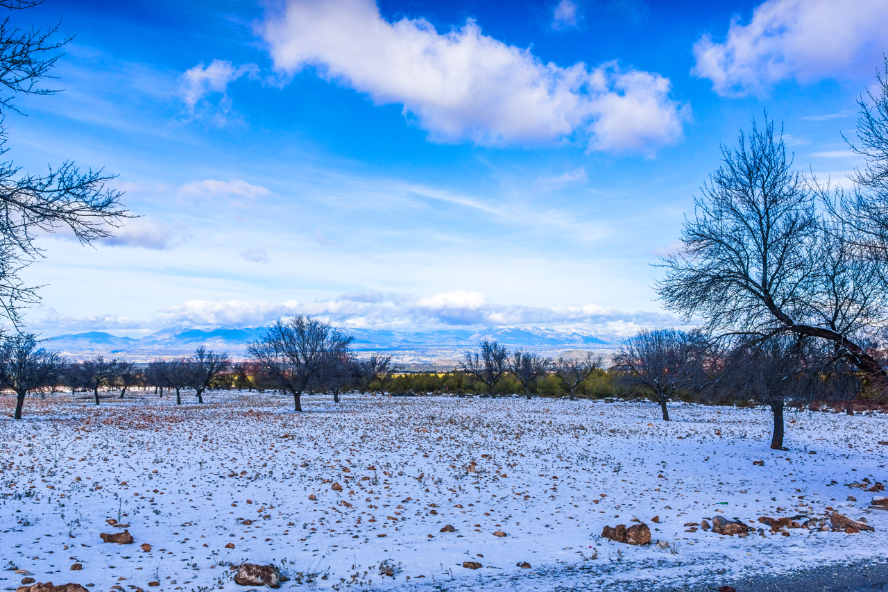 Pinar to La Herradura 7068