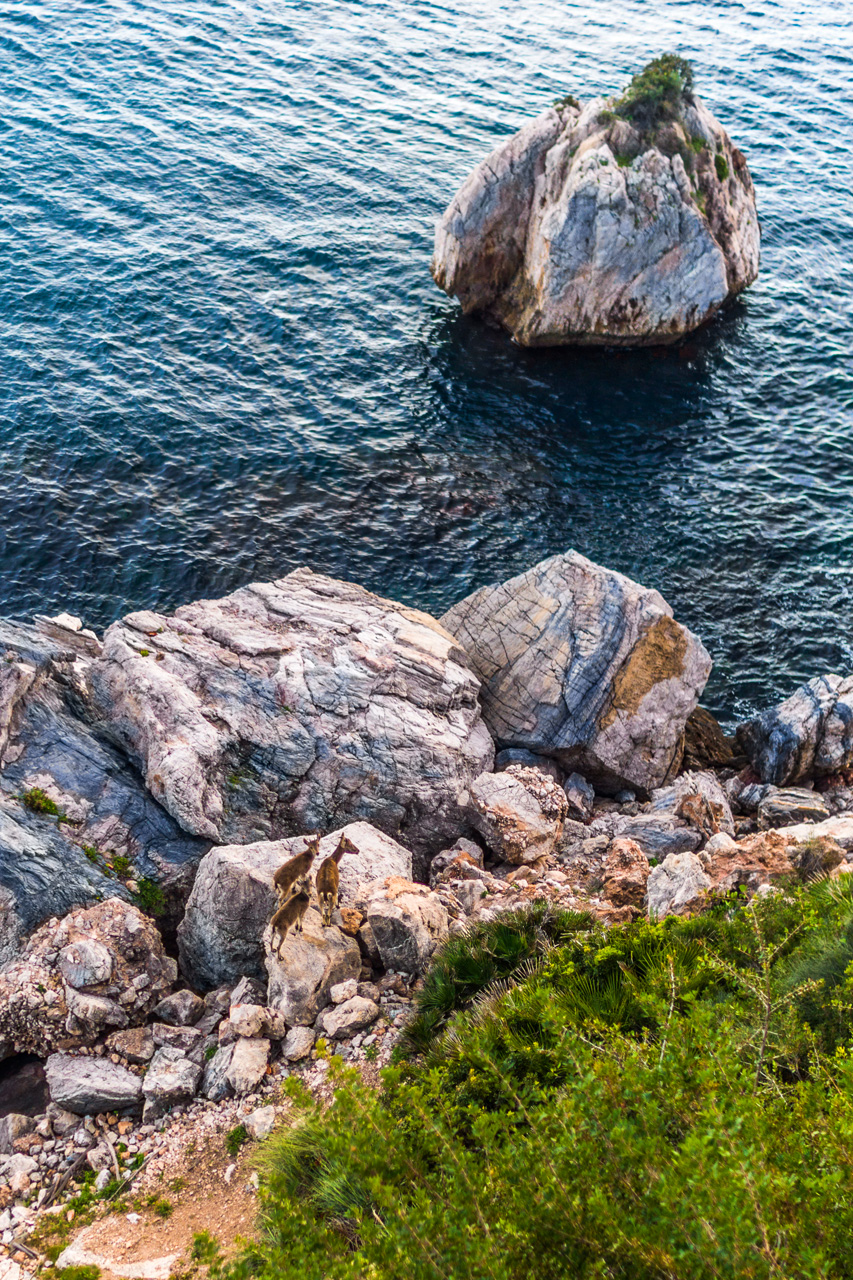 Pinar to La Herradura 7106