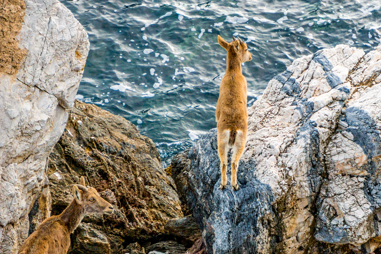 Pinar to La Herradura 7113