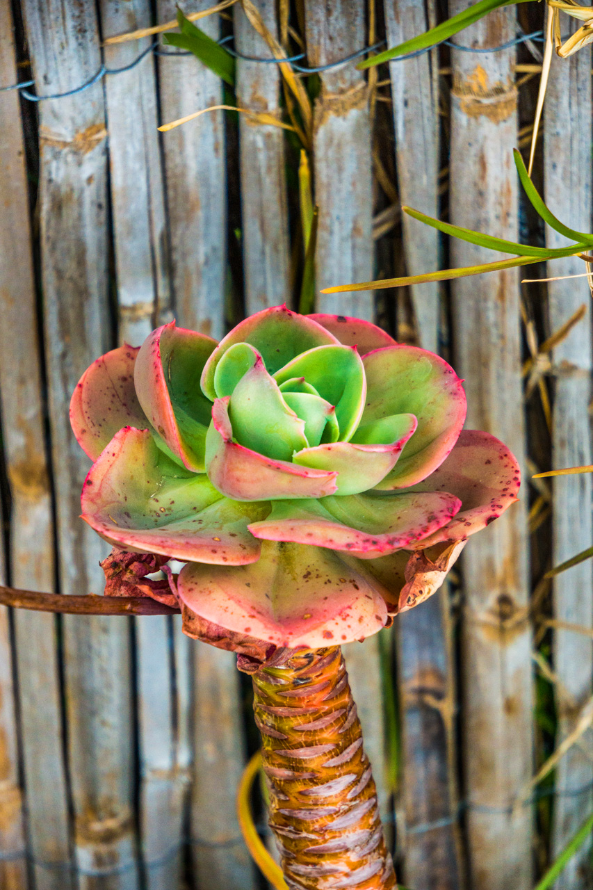 Pinar to La Herradura 7130