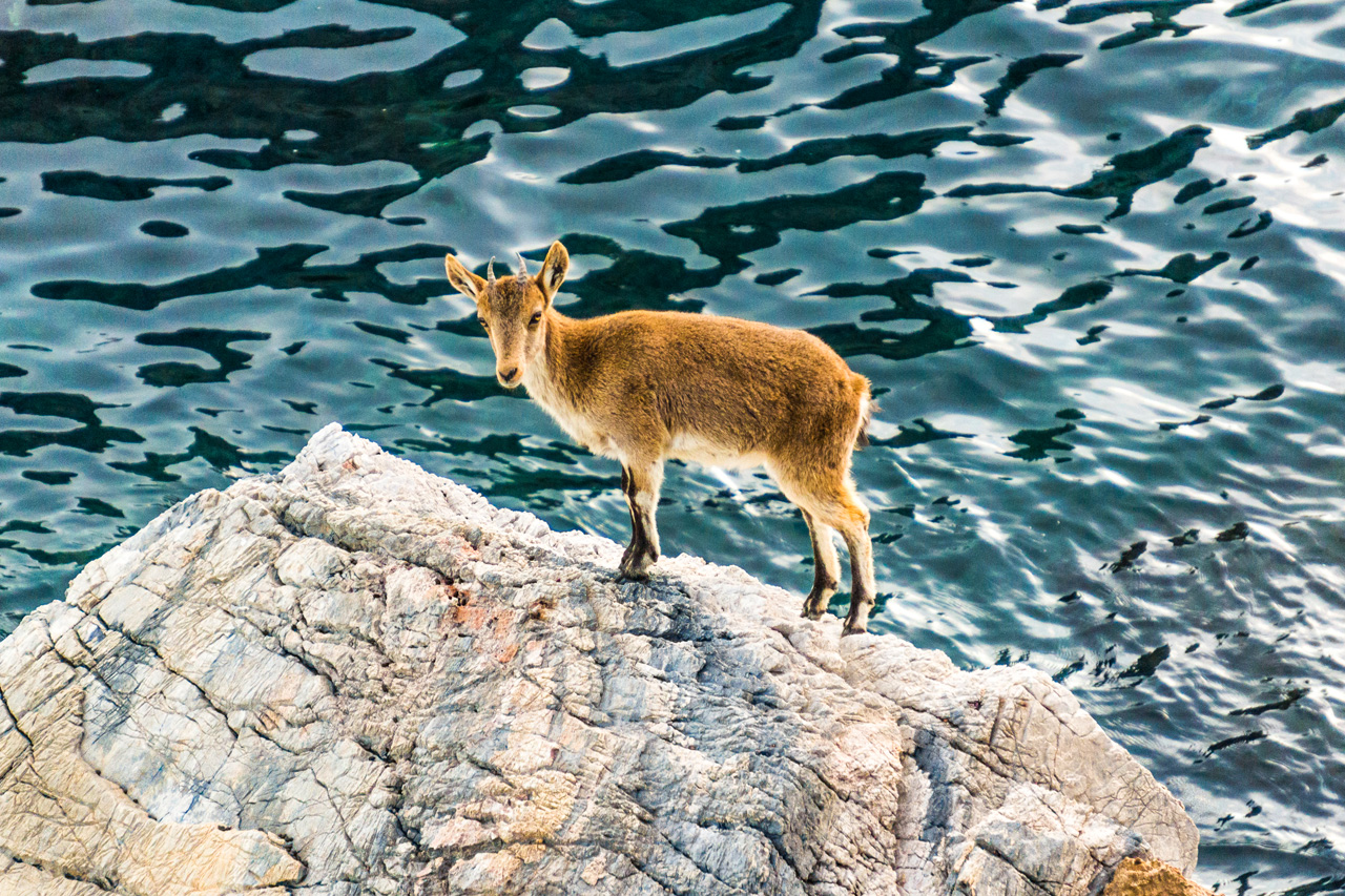 Pinar to La Herradura 7141