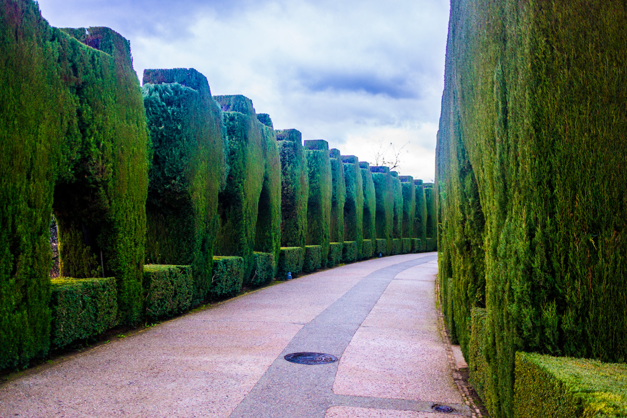 Al Hambra and Granada 7630