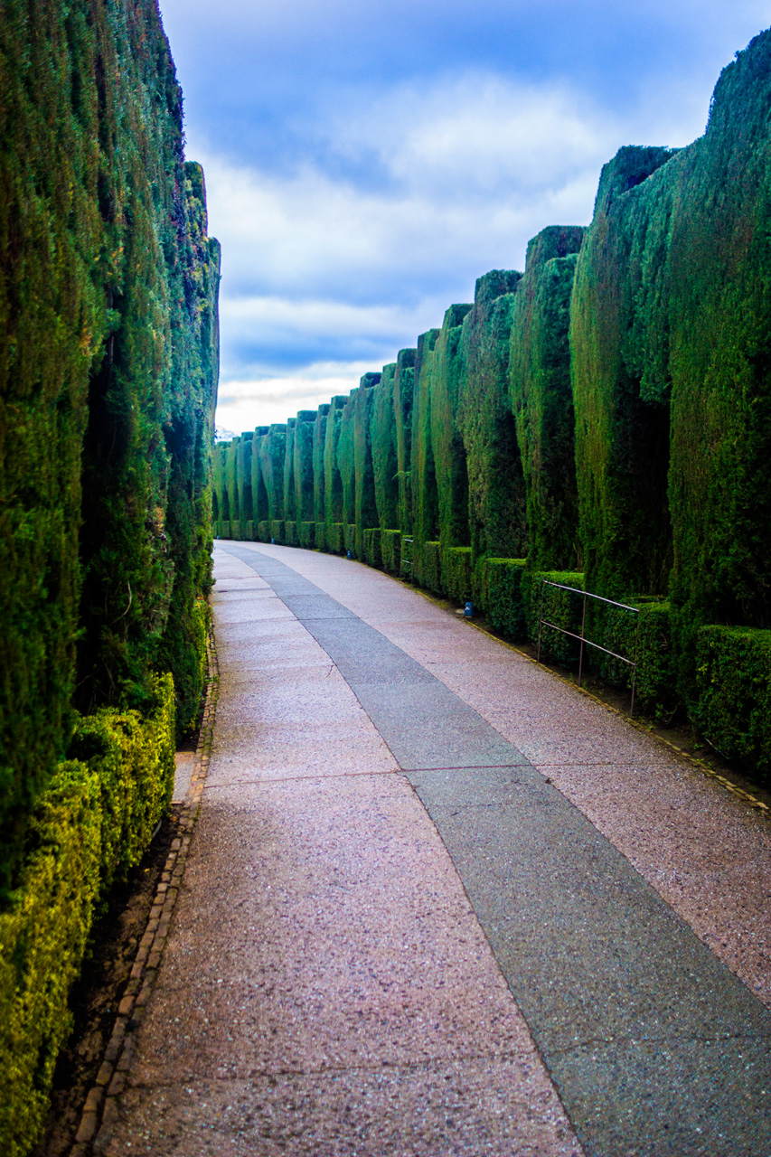 Al Hambra and Granada 7631