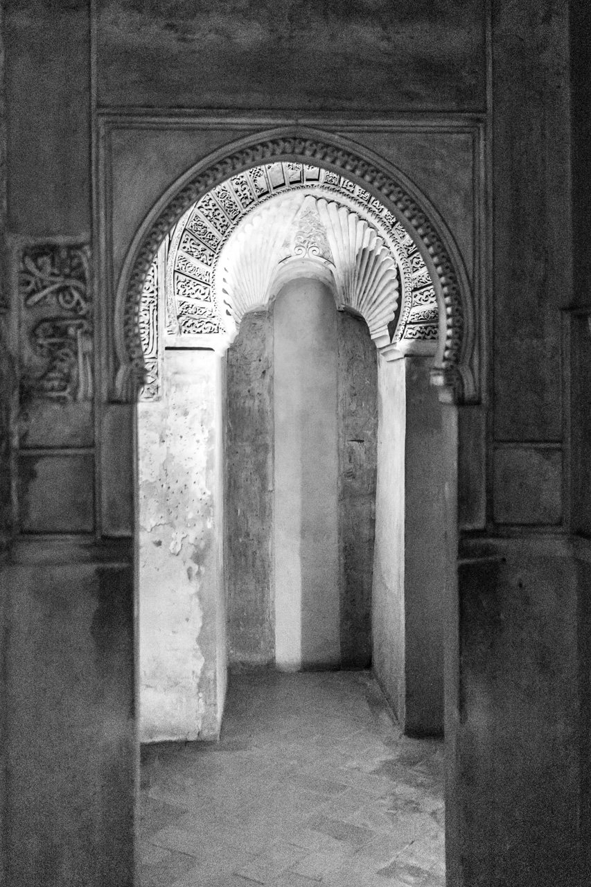 Al Hambra and Granada 7699