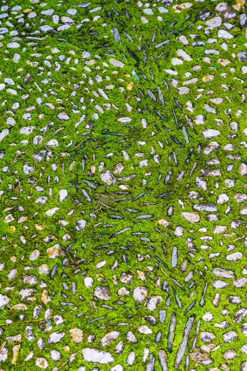 Al Hambra and Granada 7922