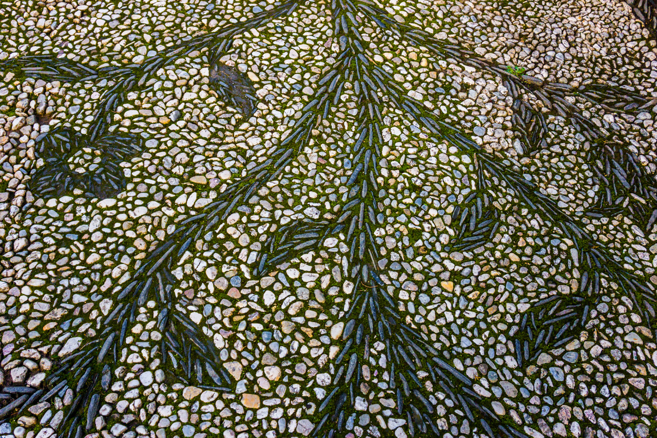 Al Hambra and Granada 7925