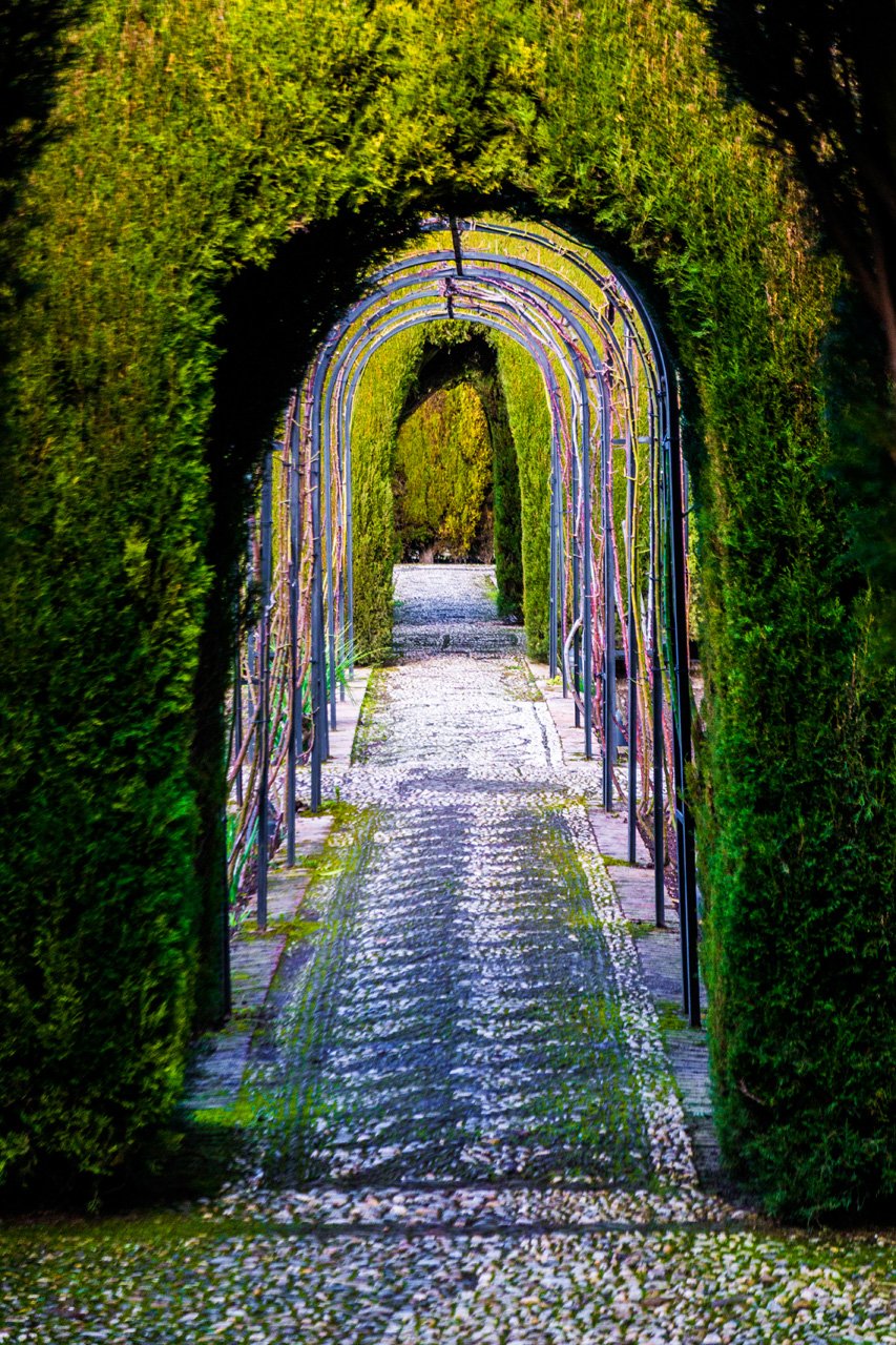 Al Hambra and Granada 7930