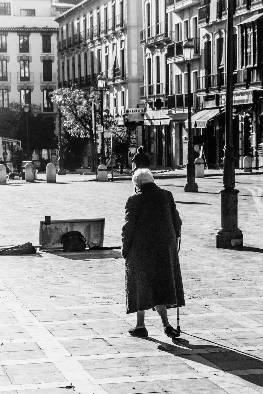 Al Hambra and Granada 7983