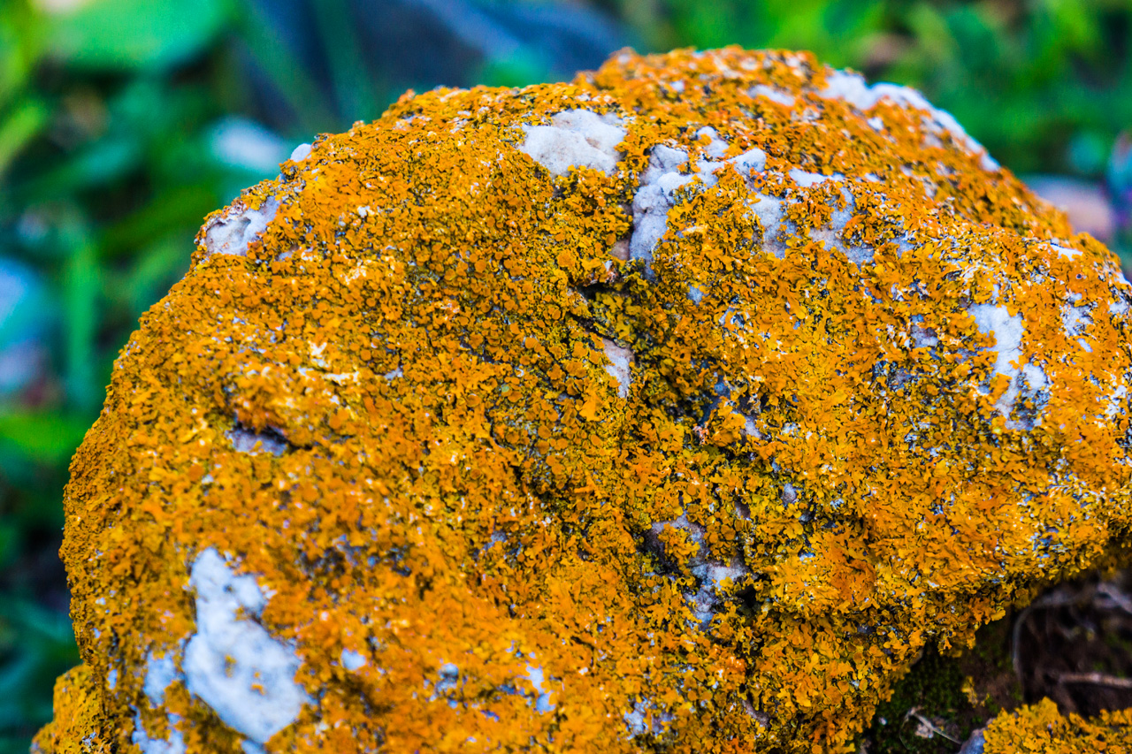 Nerja and La Herradura 8182