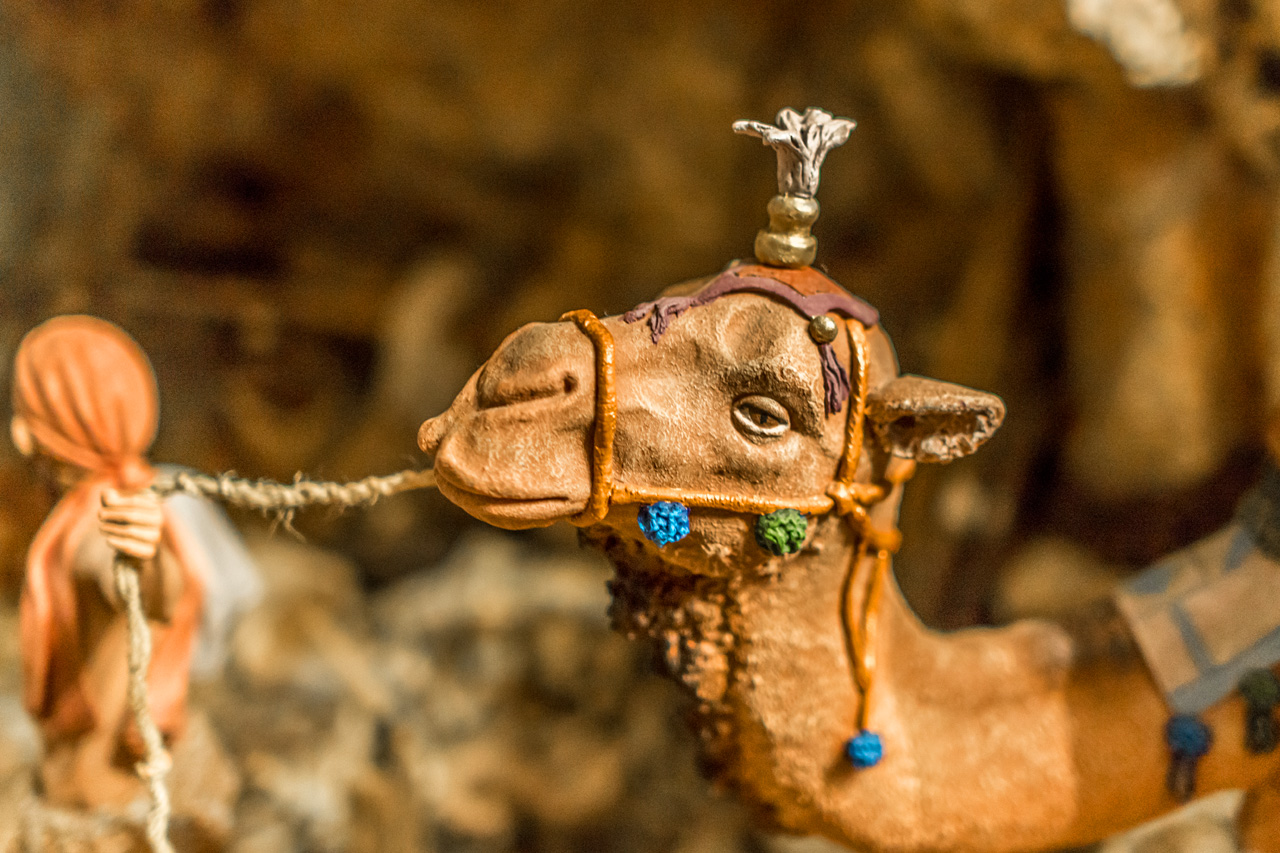 Arcos De La Frontera 9054