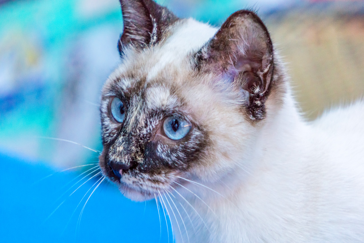 Arcos De La Frontera 9320