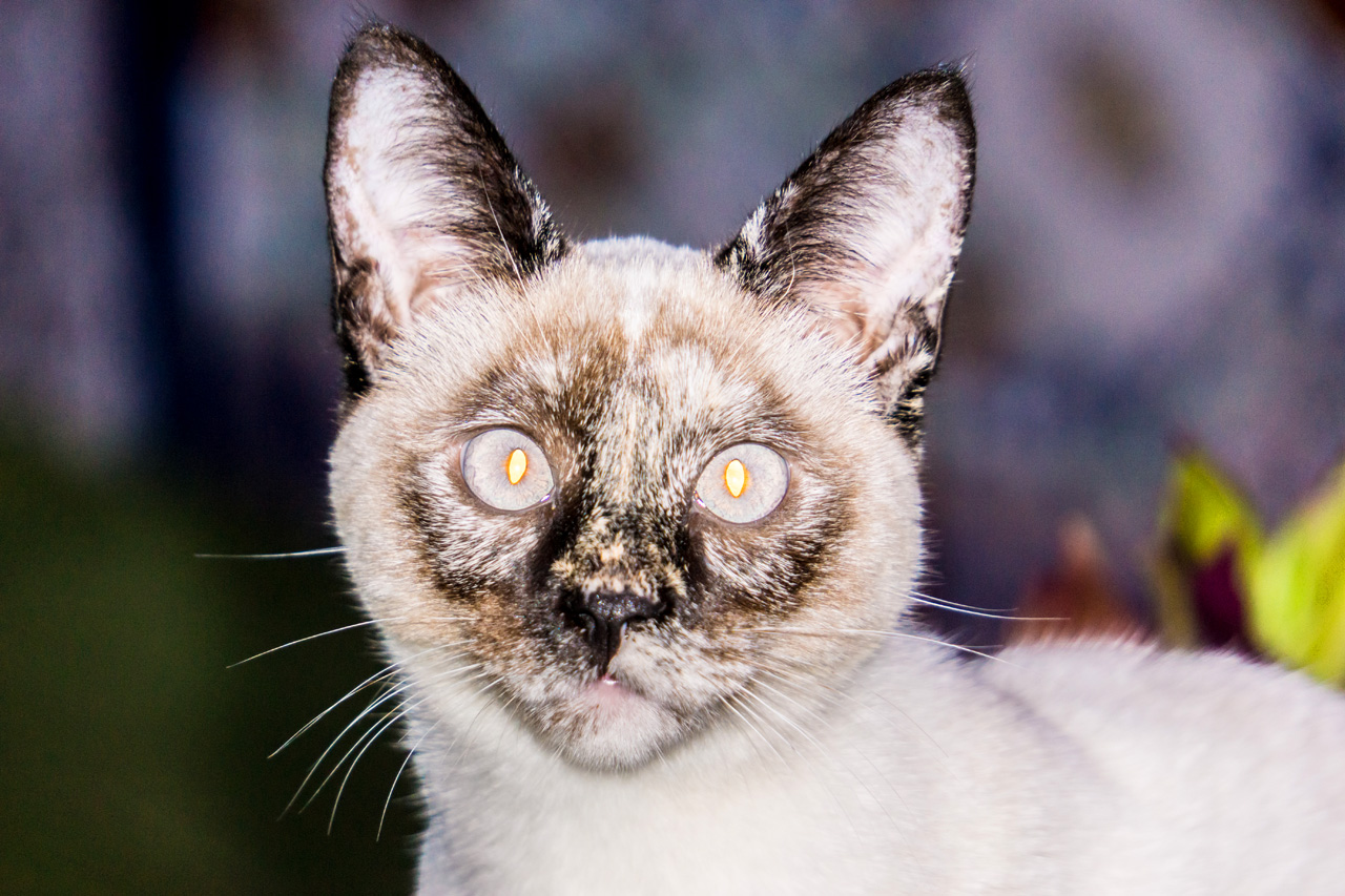 Arcos De La Frontera 9330