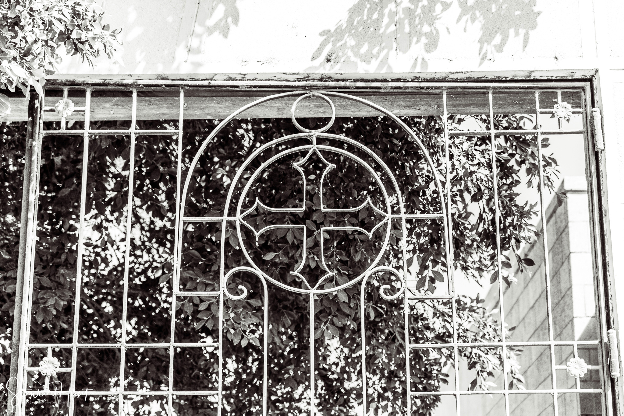 Cairo 20140516 03441