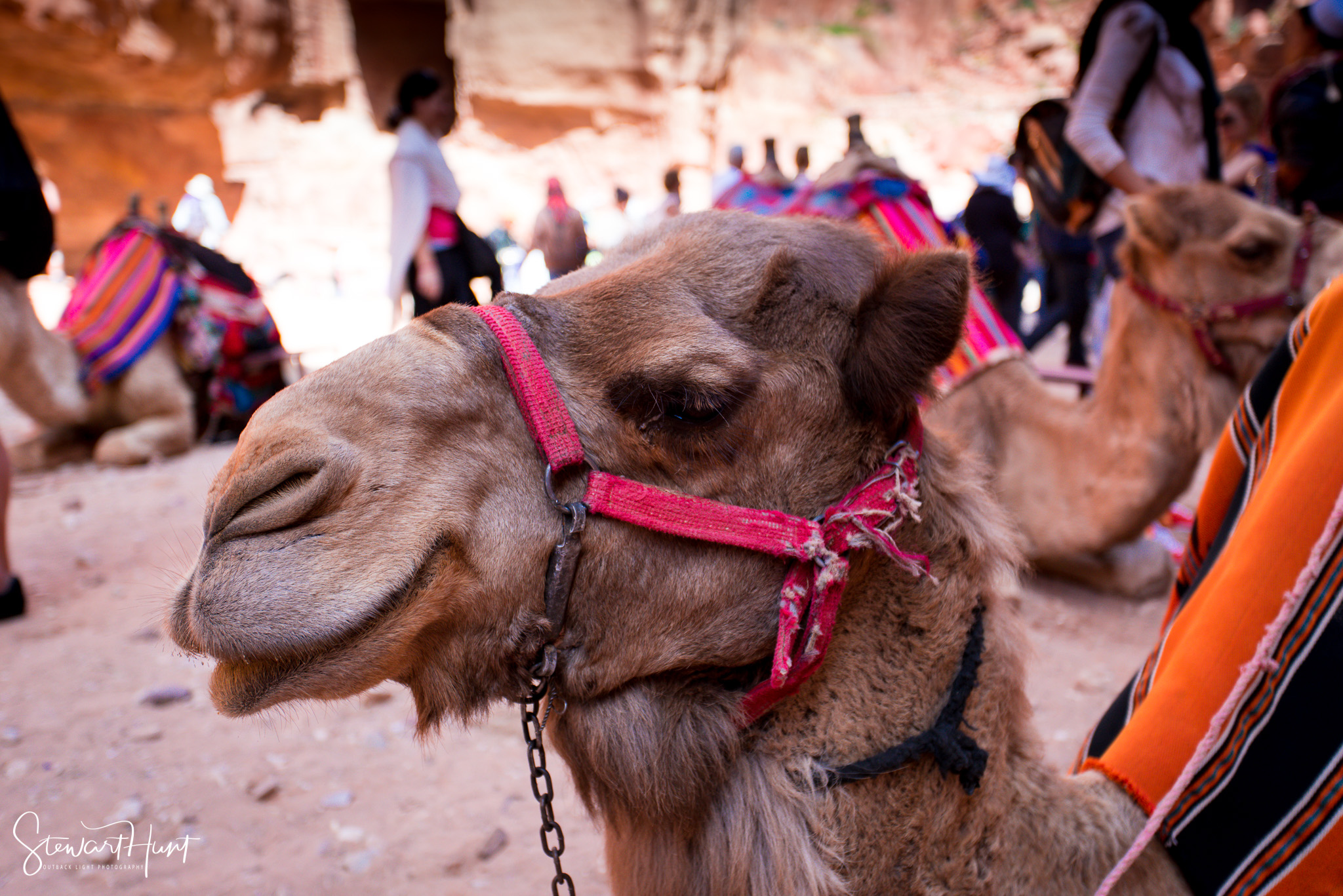 Jordan 2014 01627
