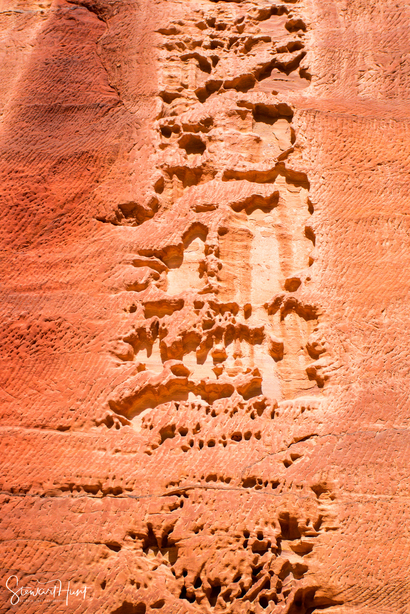 Jordan 2014 01640