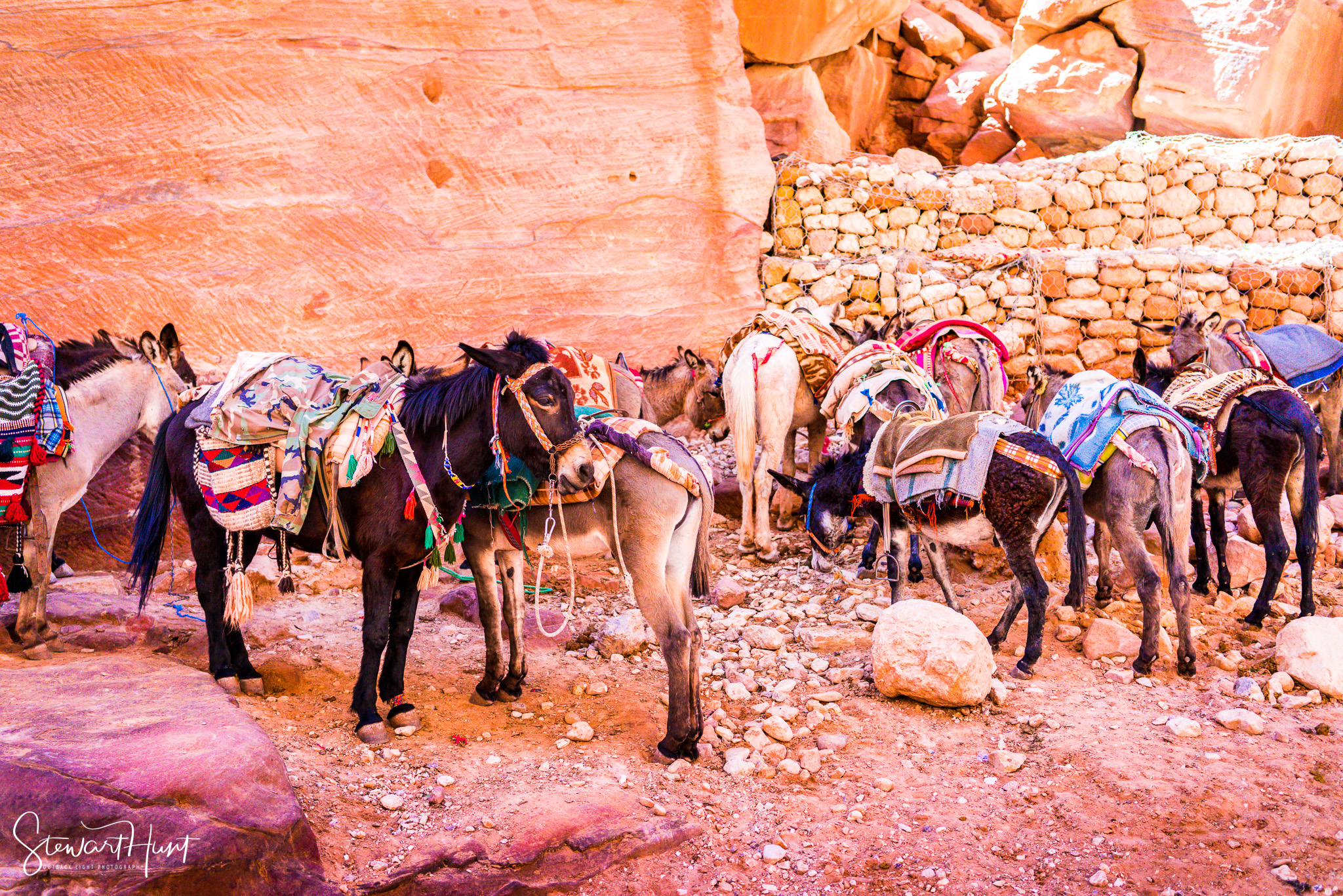 Jordan 2014 01669