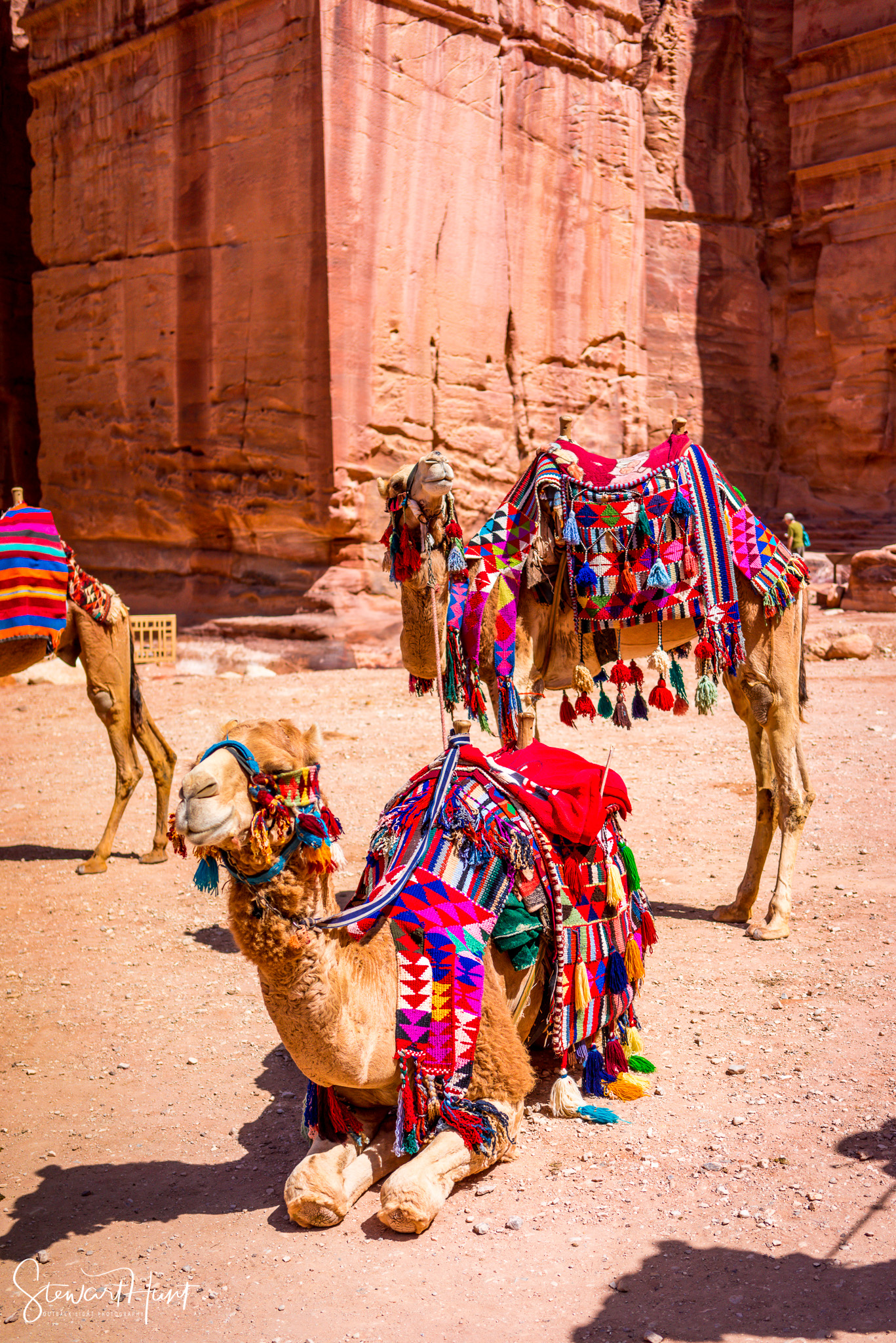 Jordan 2014 01718