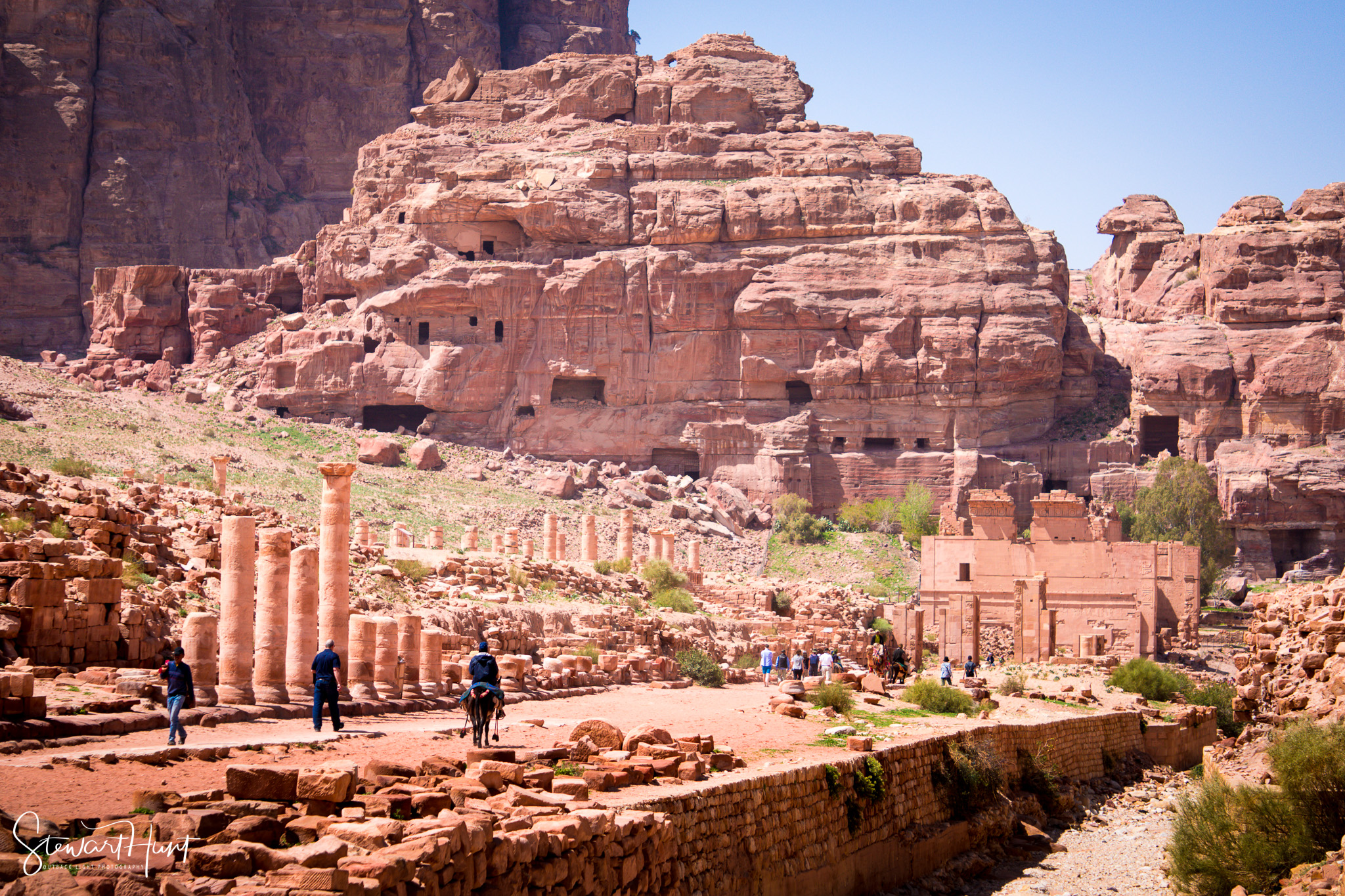 Jordan 2014 01749
