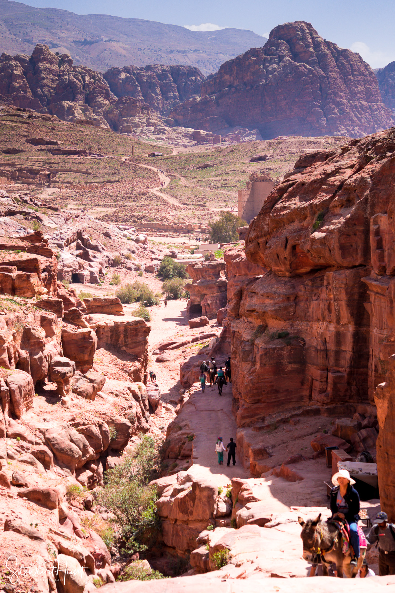 Jordan 2014 01799