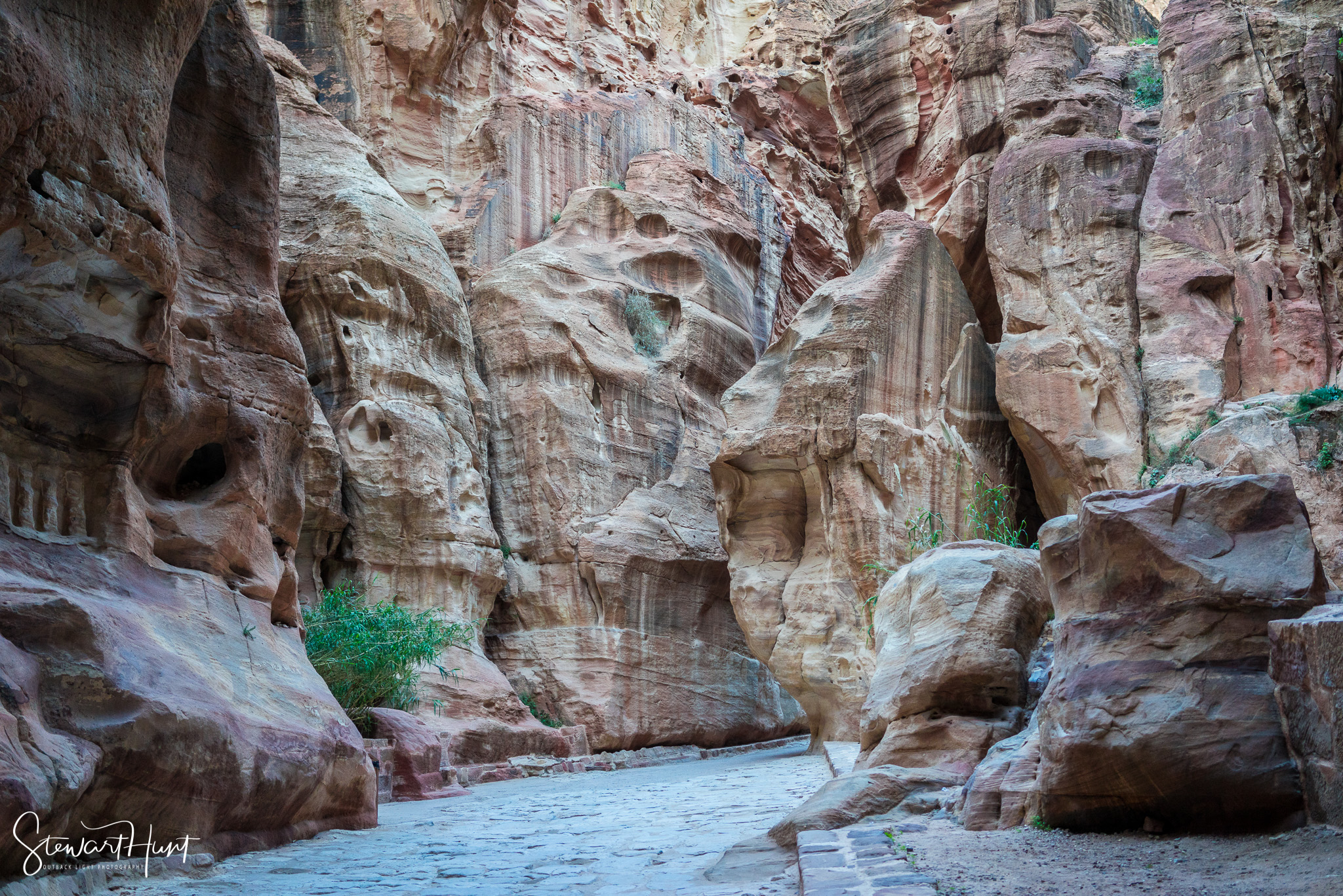 Jordan 2014 02023