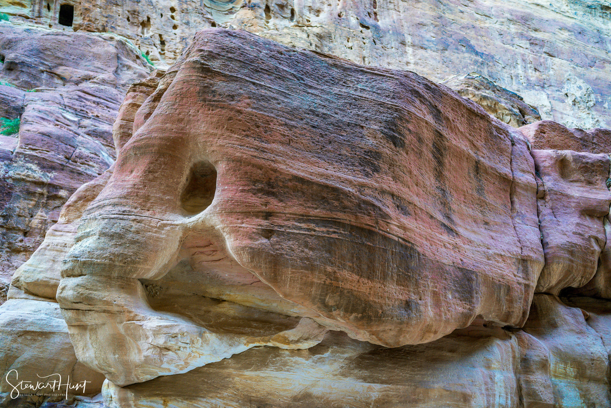 Jordan 2014 02025