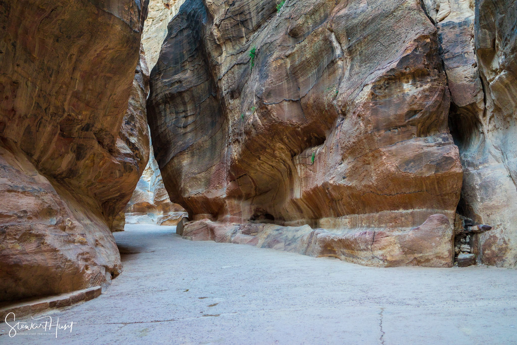 Jordan 2014 02029