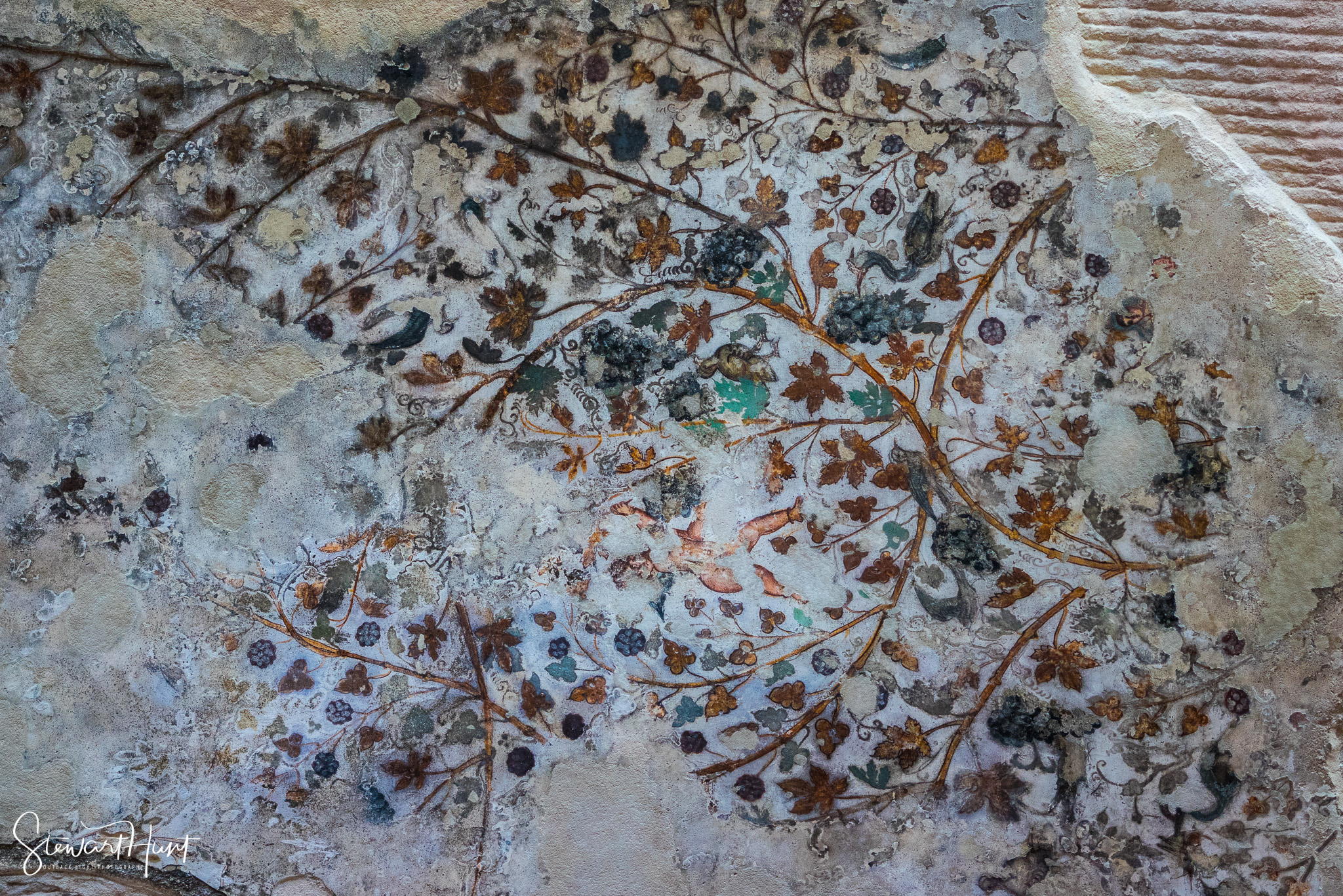 Jordan 2014 02070