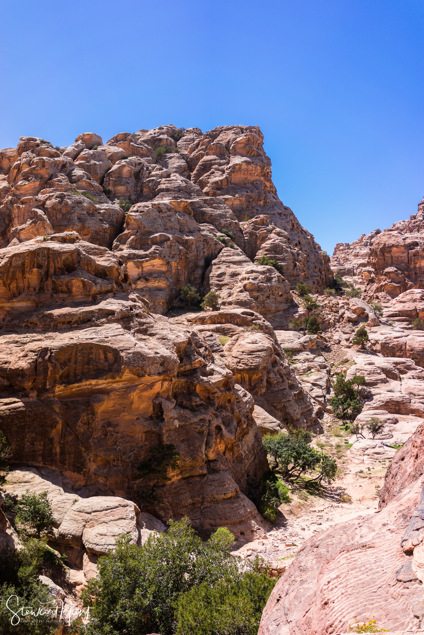 Jordan 2014 02086